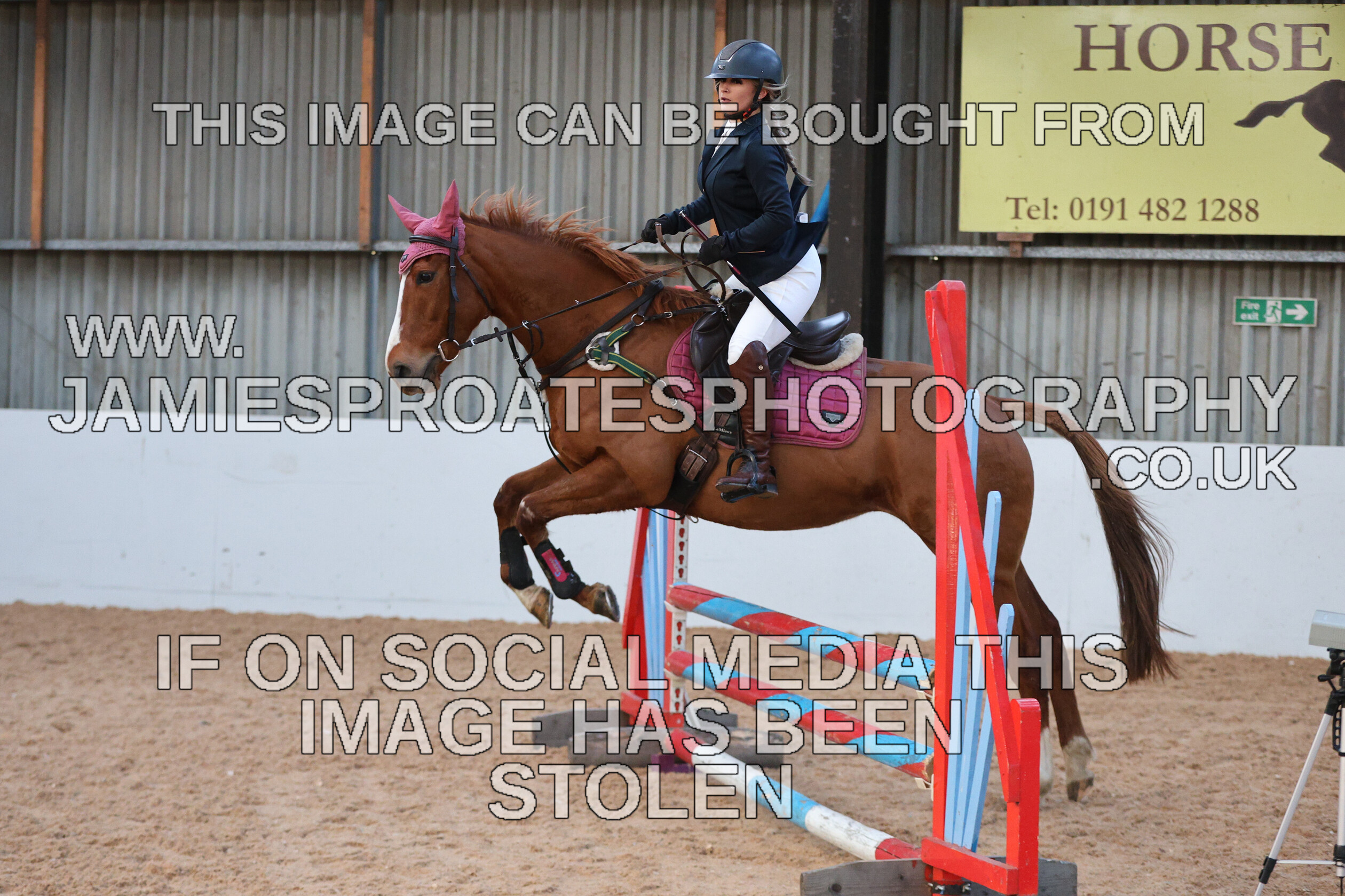 0002 3972 
 Keywords: "jamie sproates photography" showjumping" "holmside"