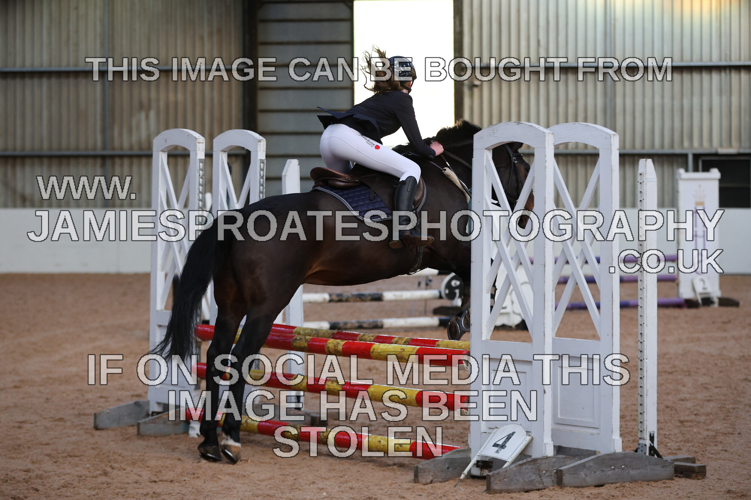 0002 3933 
 Keywords: "jamie sproates photography" showjumping" "holmside"