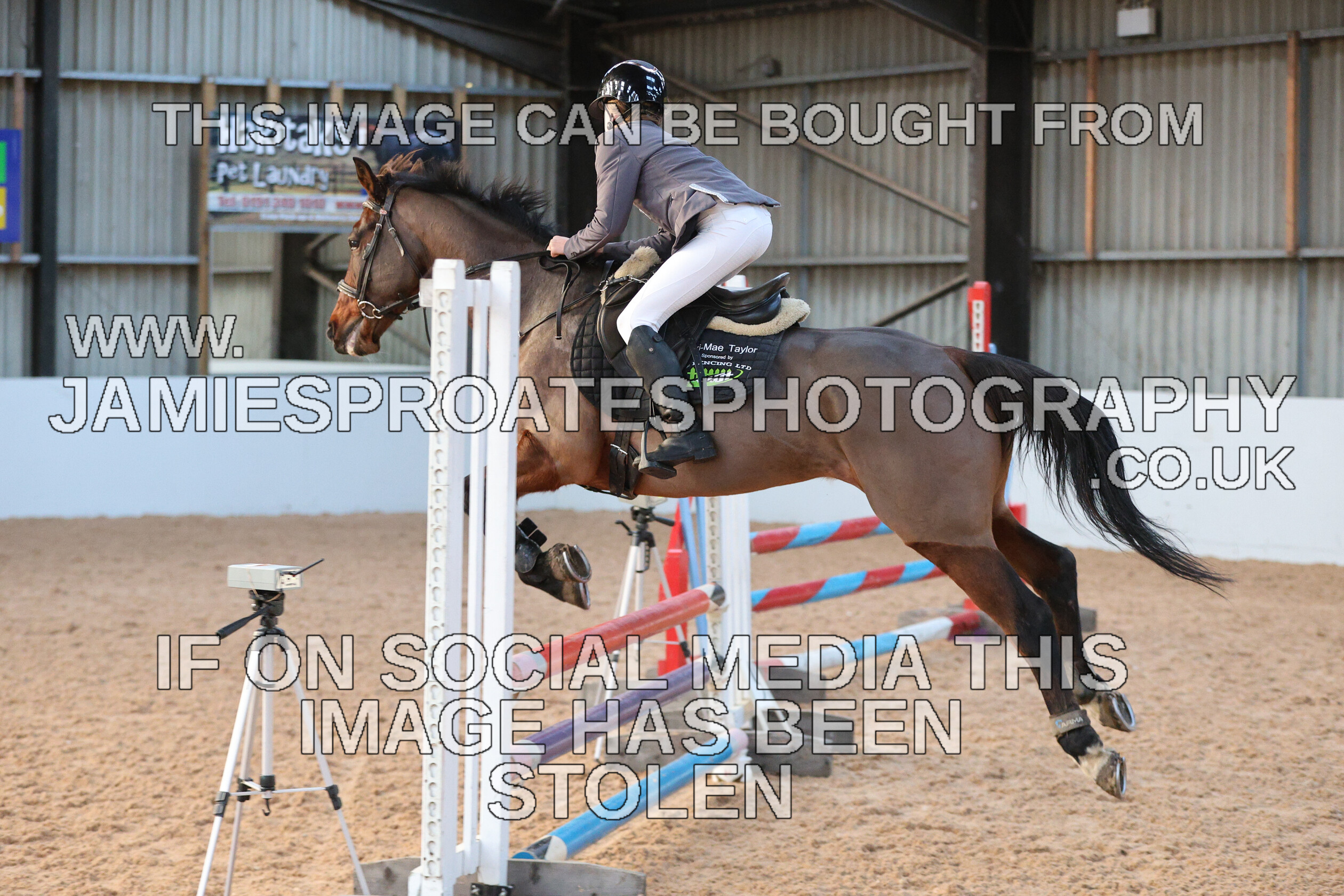 0002 3965 
 Keywords: "jamie sproates photography" showjumping" "holmside"