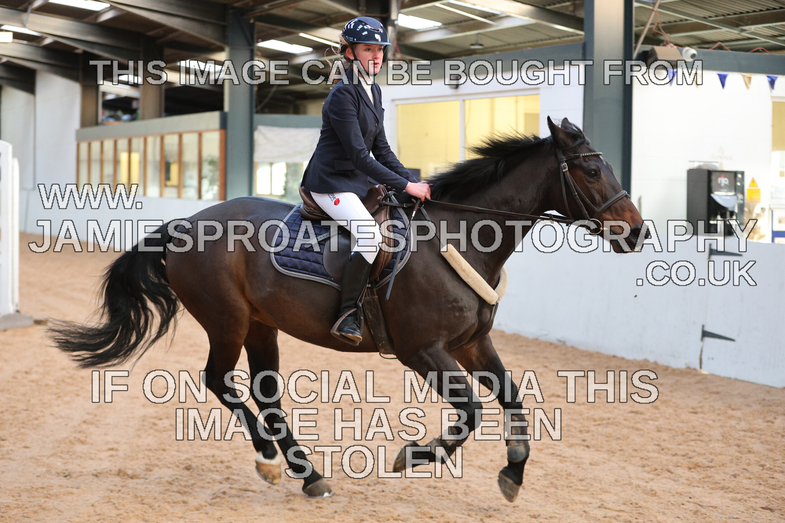 0002 3932 
 Keywords: "jamie sproates photography" showjumping" "holmside"