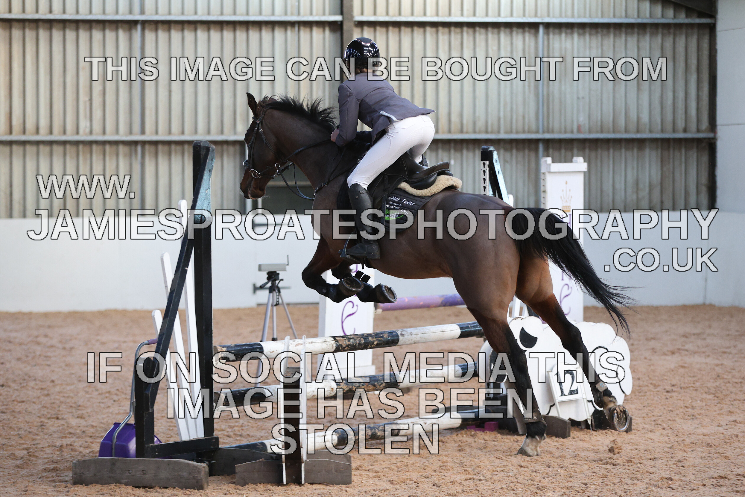 0002 3968 
 Keywords: "jamie sproates photography" showjumping" "holmside"