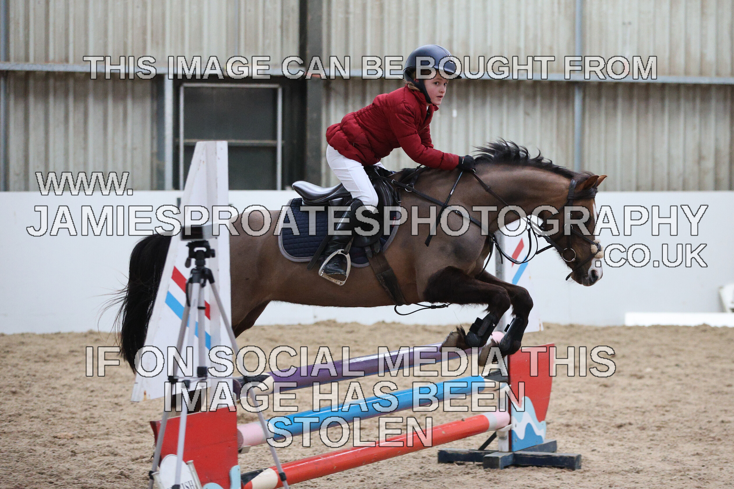 0002 6654 
 Keywords: "jamie sproates photography" showjumping" "holmside""bs"