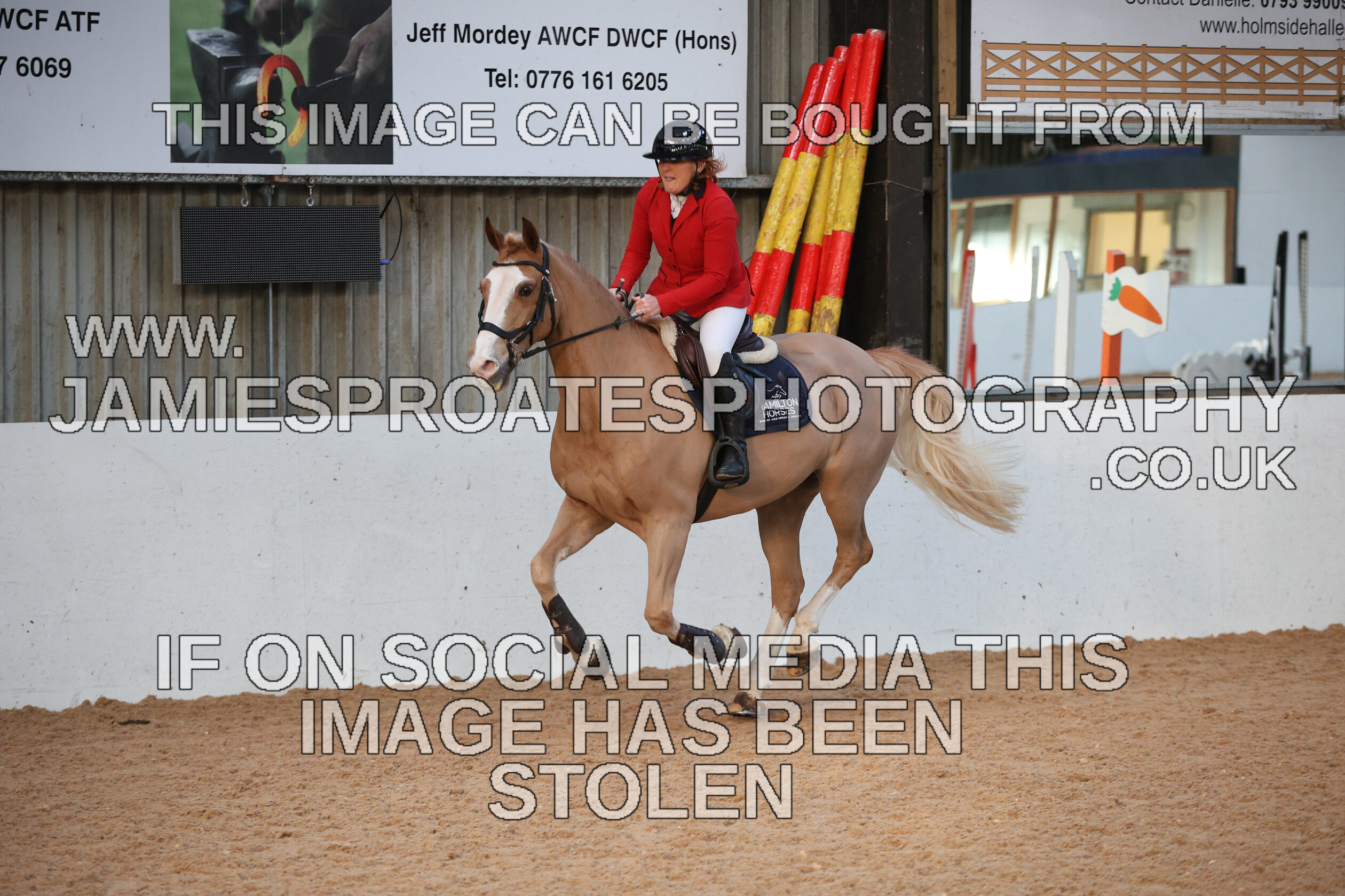 0002 3919 
 Keywords: "jamie sproates photography" showjumping" "holmside"