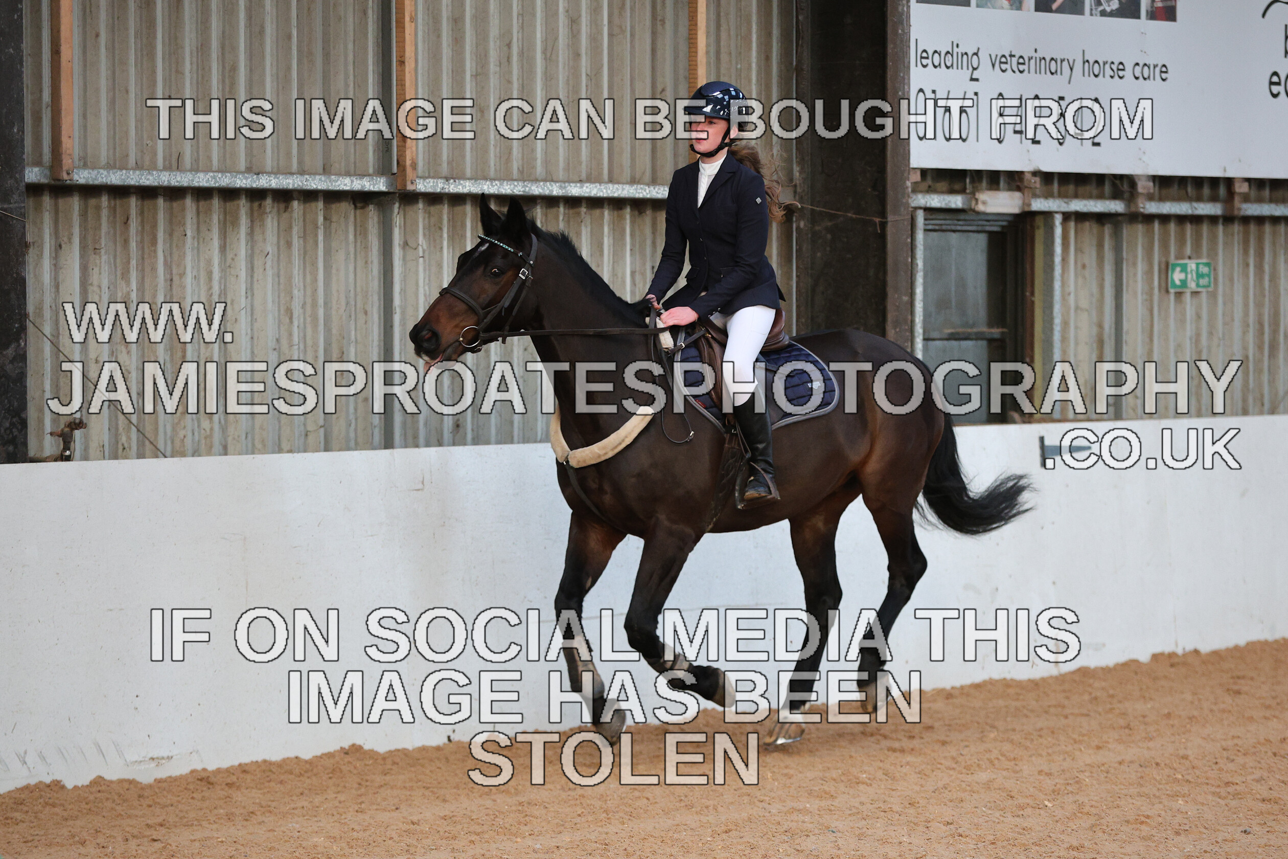 0002 3927 
 Keywords: "jamie sproates photography" showjumping" "holmside"