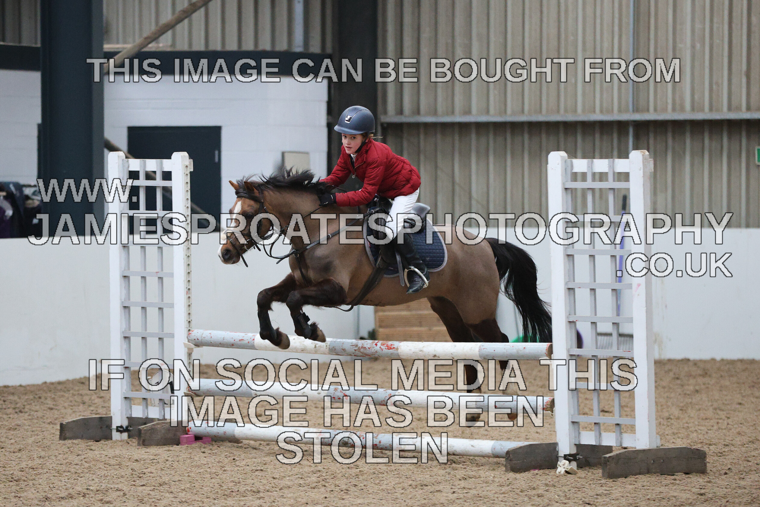 0002 6655 
 Keywords: "jamie sproates photography" showjumping" "holmside""bs"