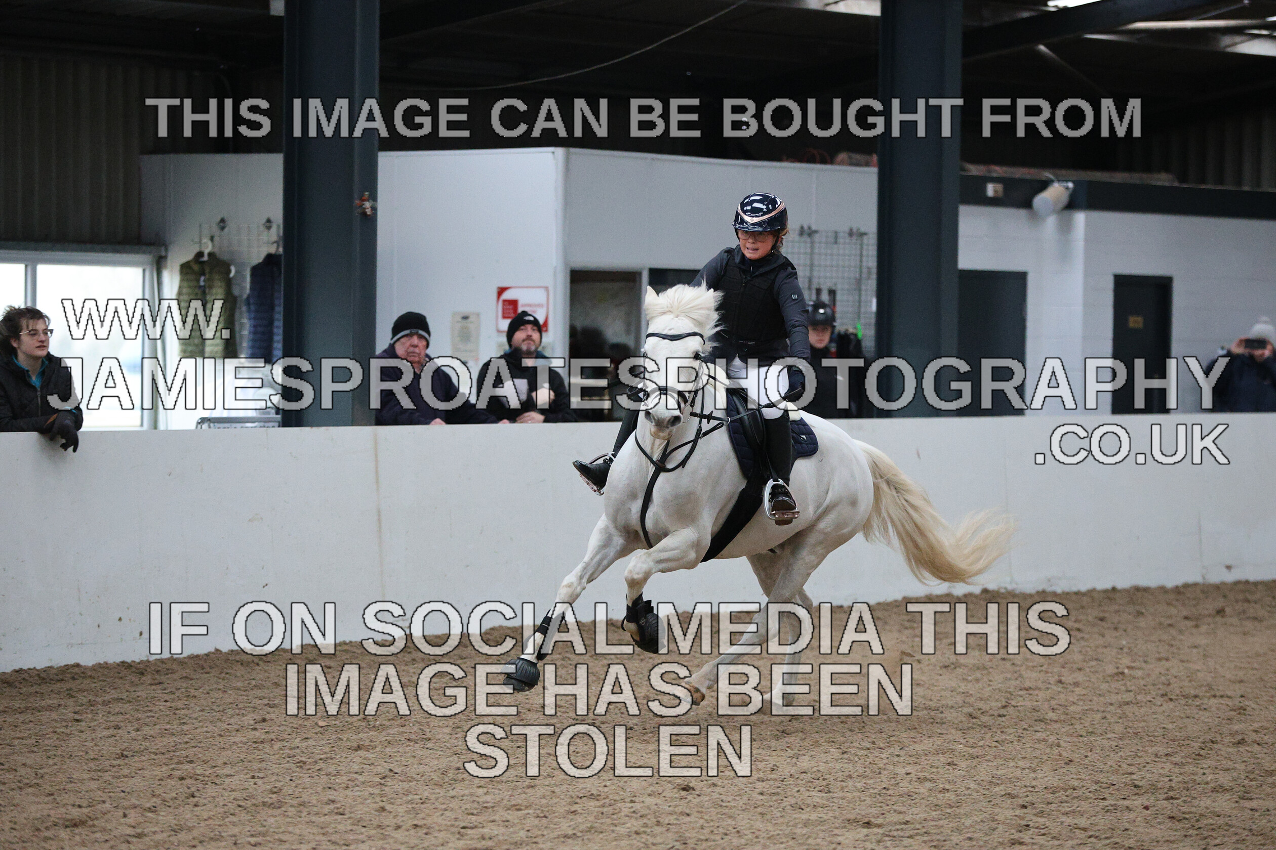 0002 6628 
 Keywords: "jamie sproates photography" showjumping" "holmside""bs"