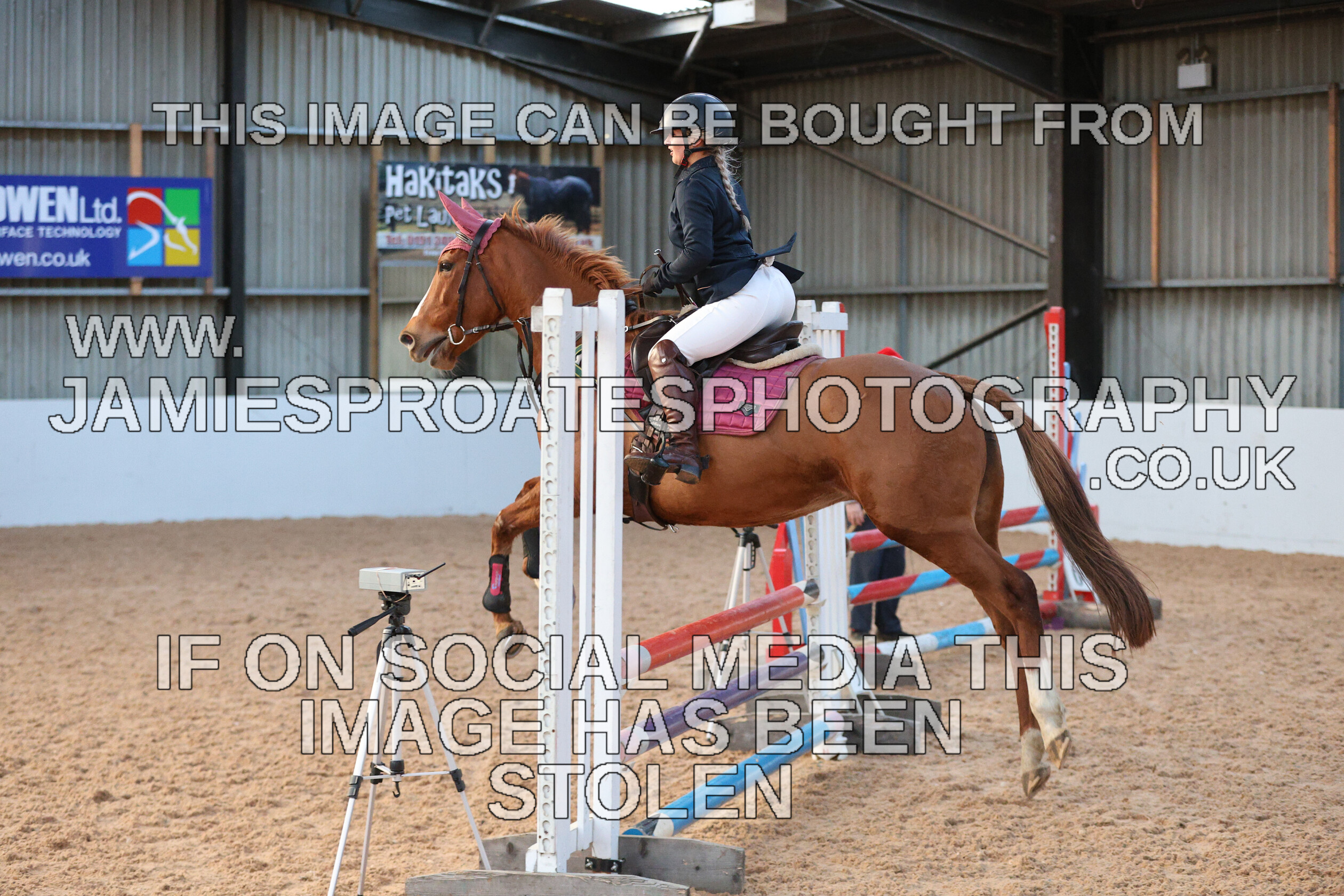 0002 3974 
 Keywords: "jamie sproates photography" showjumping" "holmside"