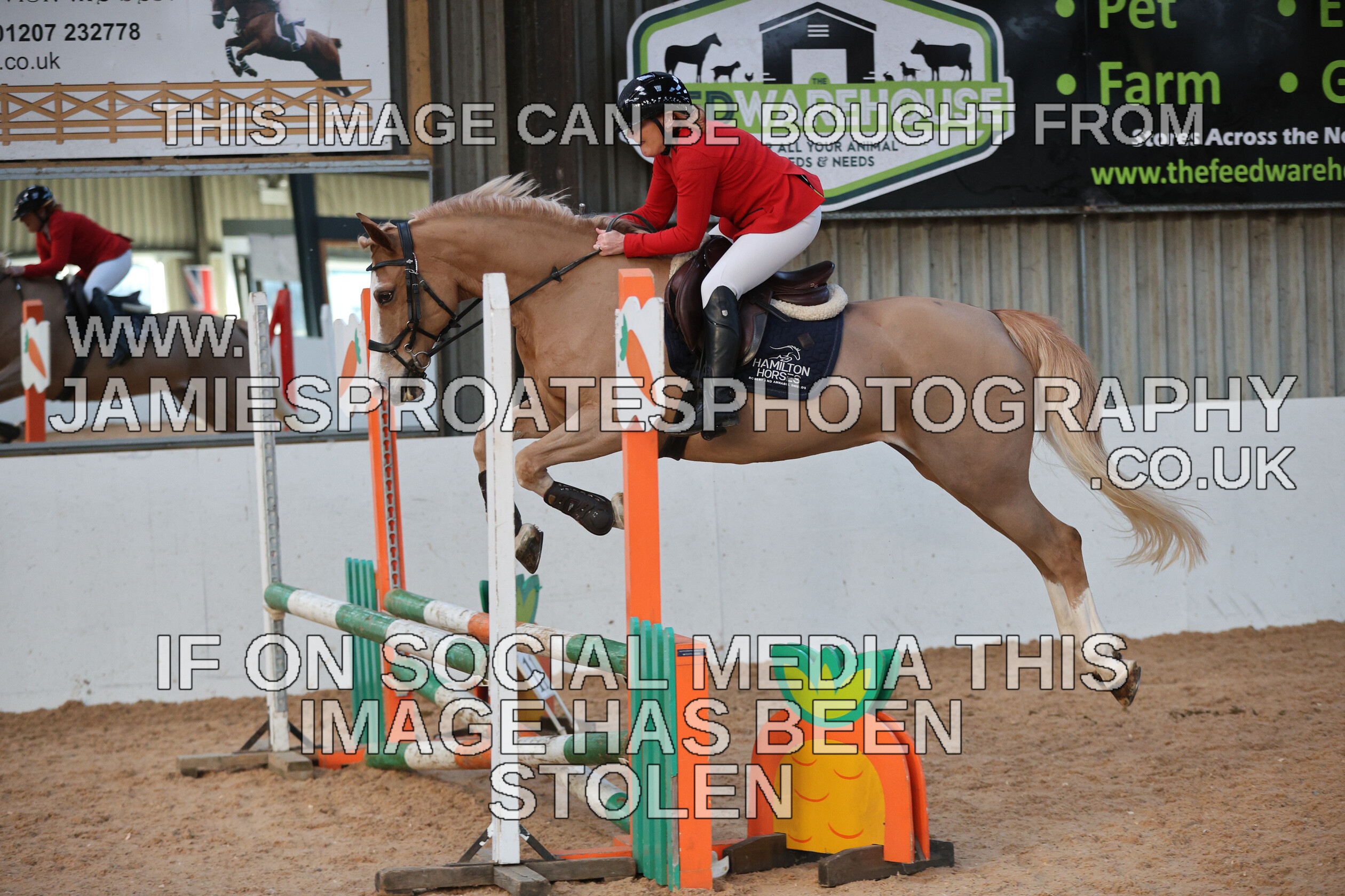 0002 3924 
 Keywords: "jamie sproates photography" showjumping" "holmside"