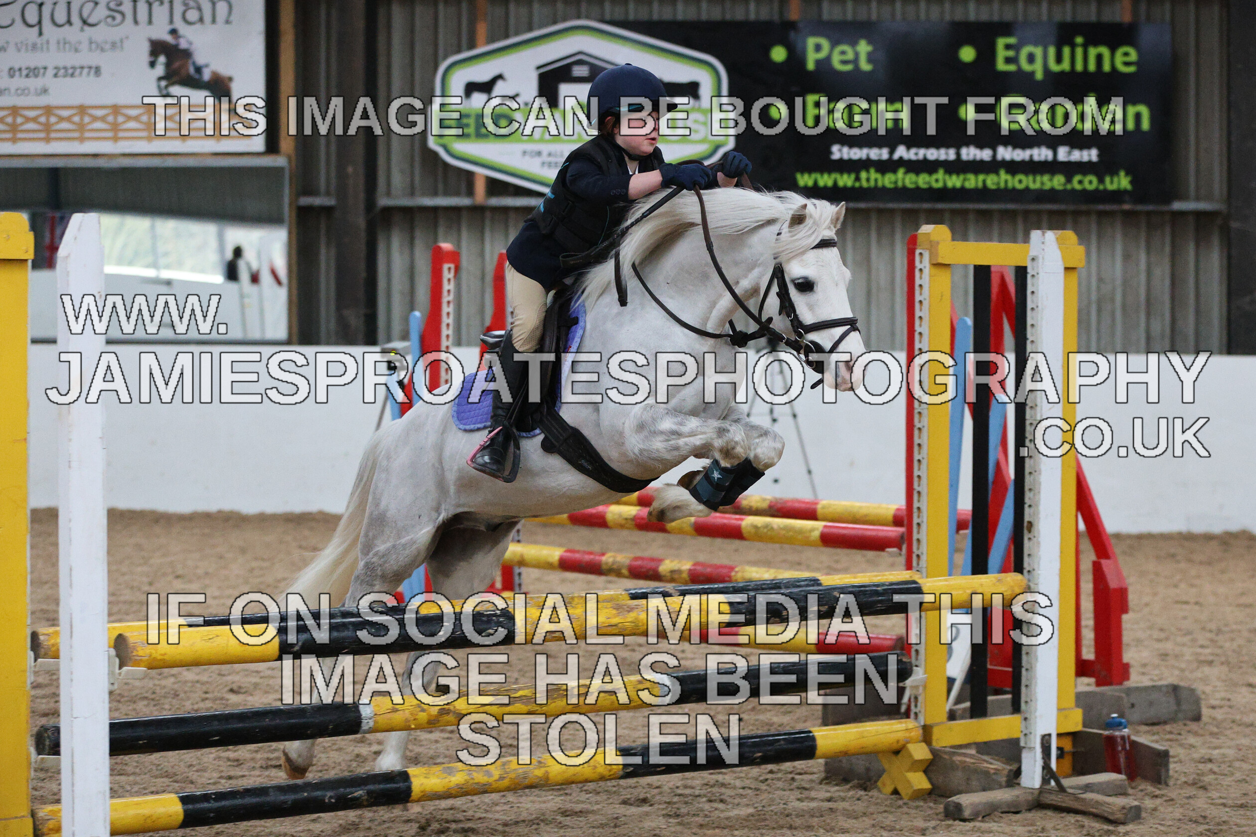 0002 6614 
 Keywords: "jamie sproates photography" showjumping" "holmside""bs"