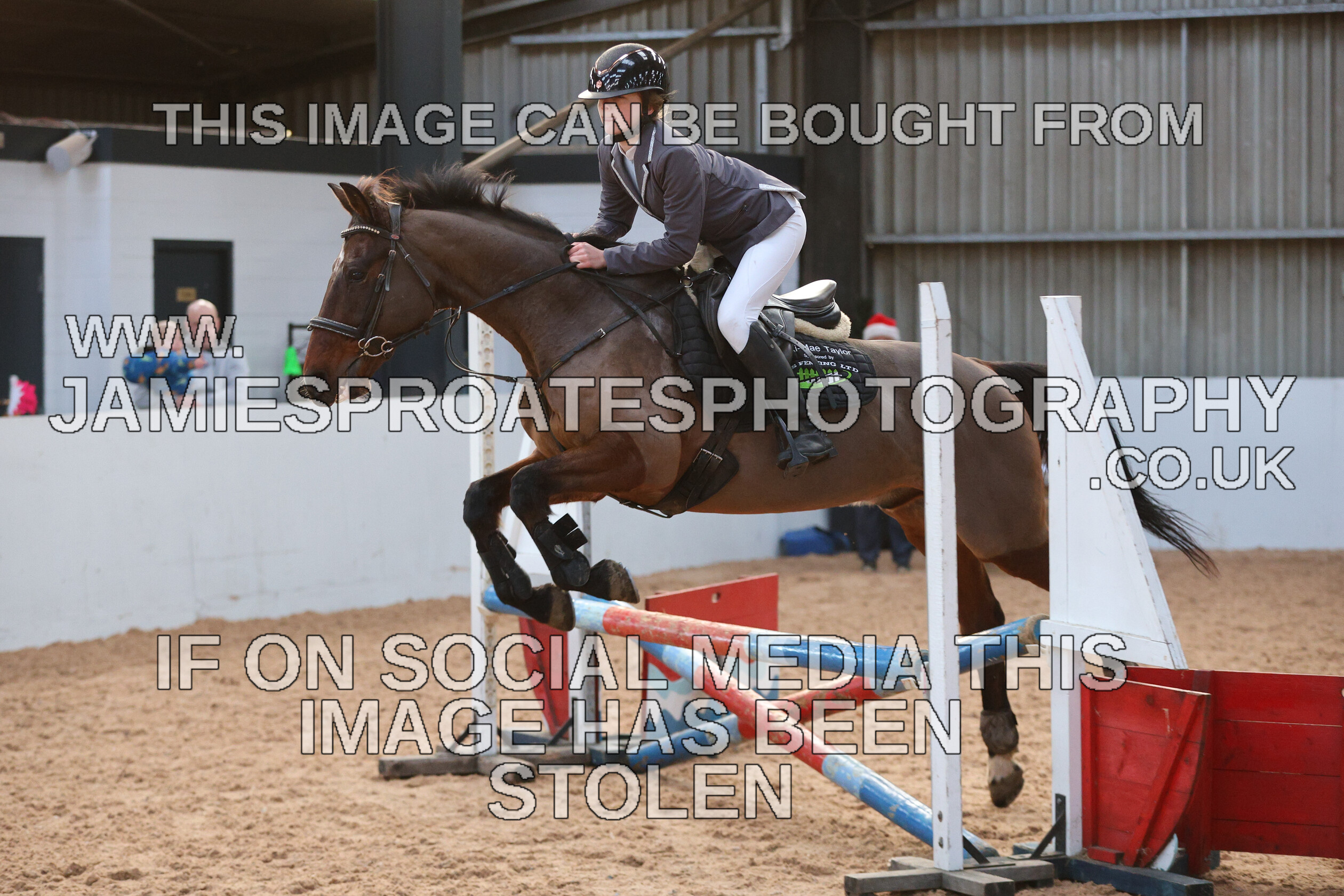 0002 3959 
 Keywords: "jamie sproates photography" showjumping" "holmside"