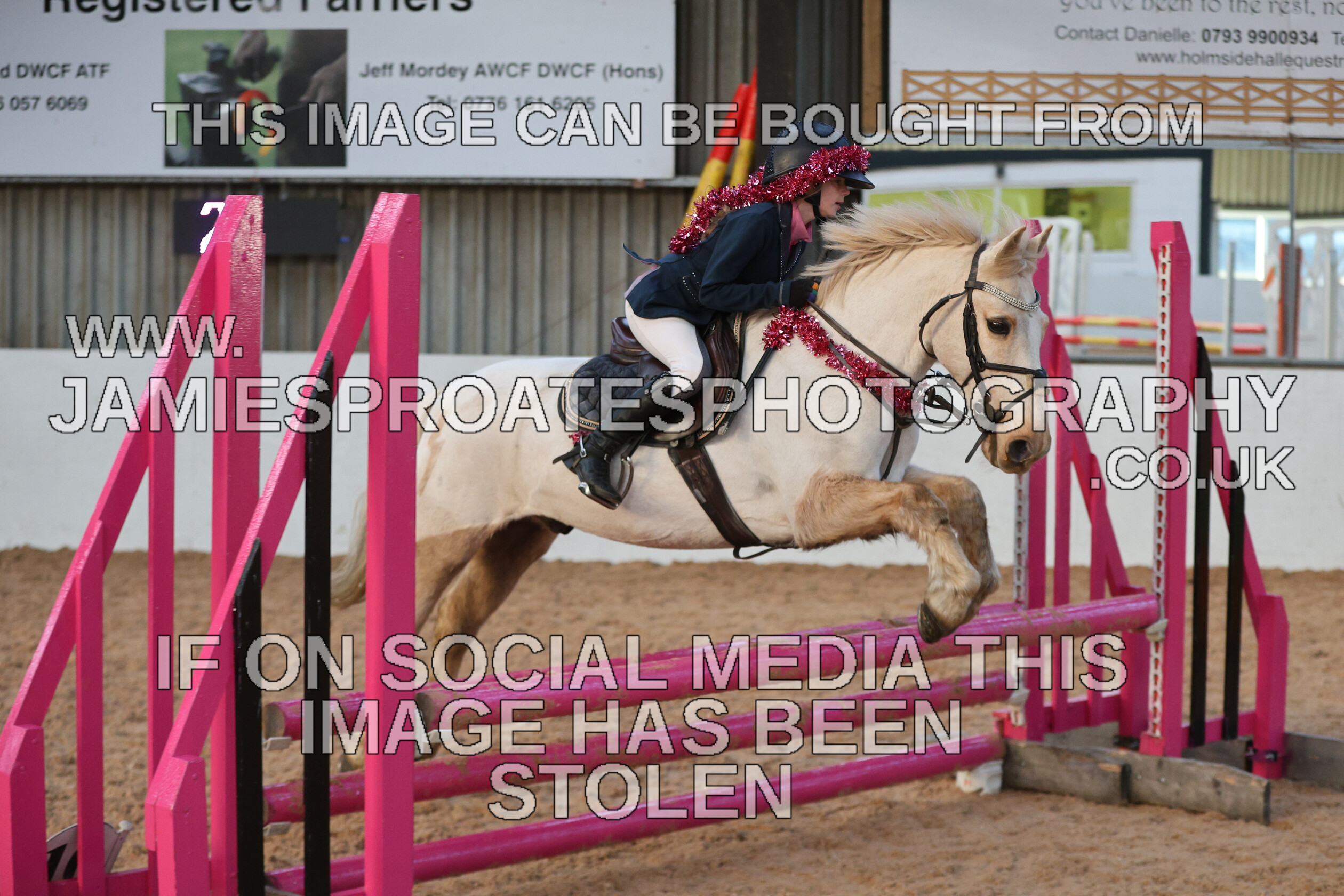 0002 3954 
 Keywords: "jamie sproates photography" showjumping" "holmside"