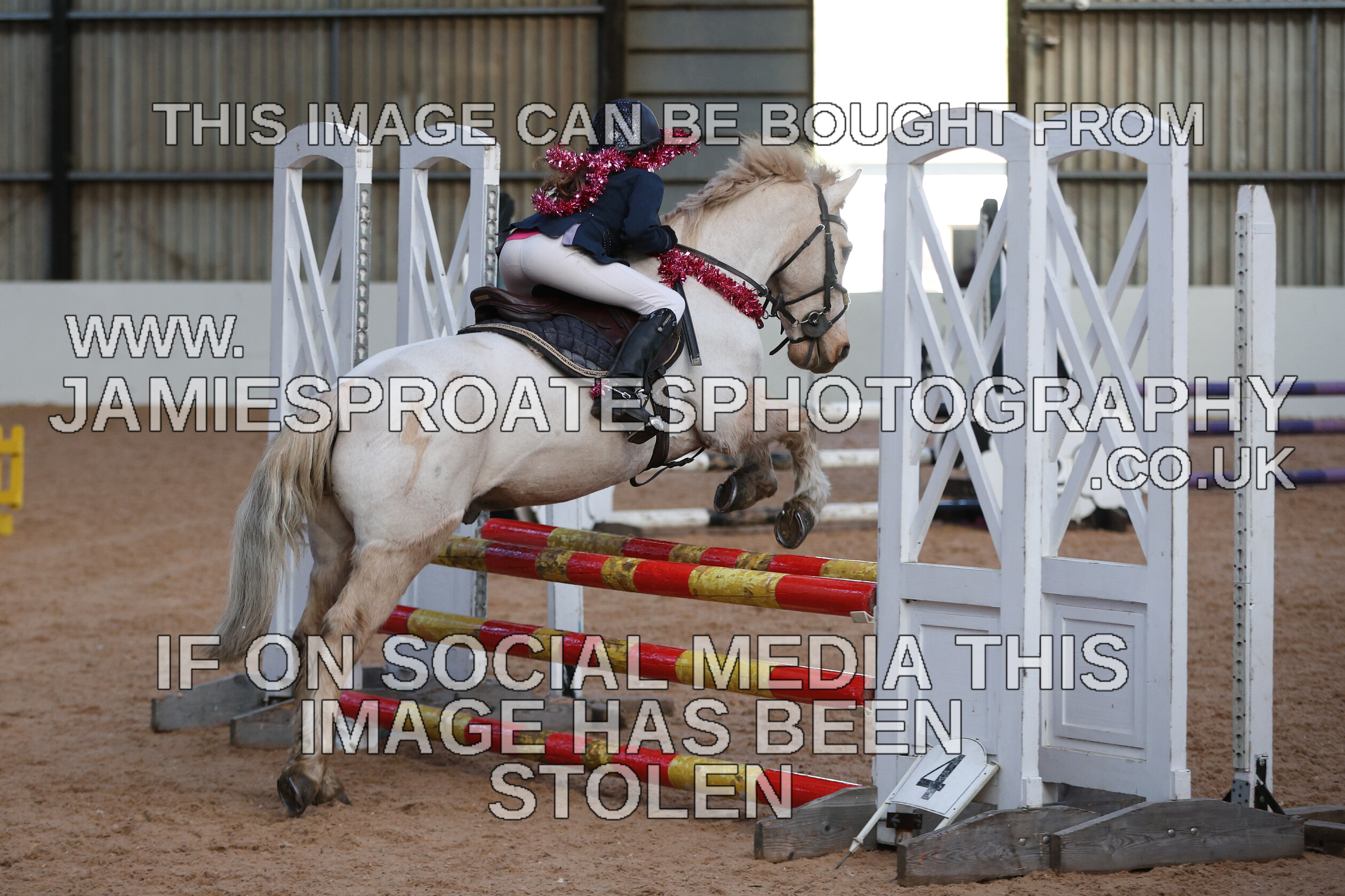 0002 3949 
 Keywords: "jamie sproates photography" showjumping" "holmside"