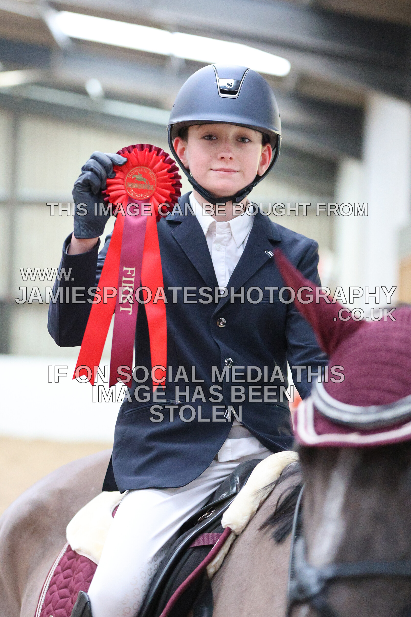 0002 6670 
 Keywords: "jamie sproates photography" showjumping" "holmside""bs"