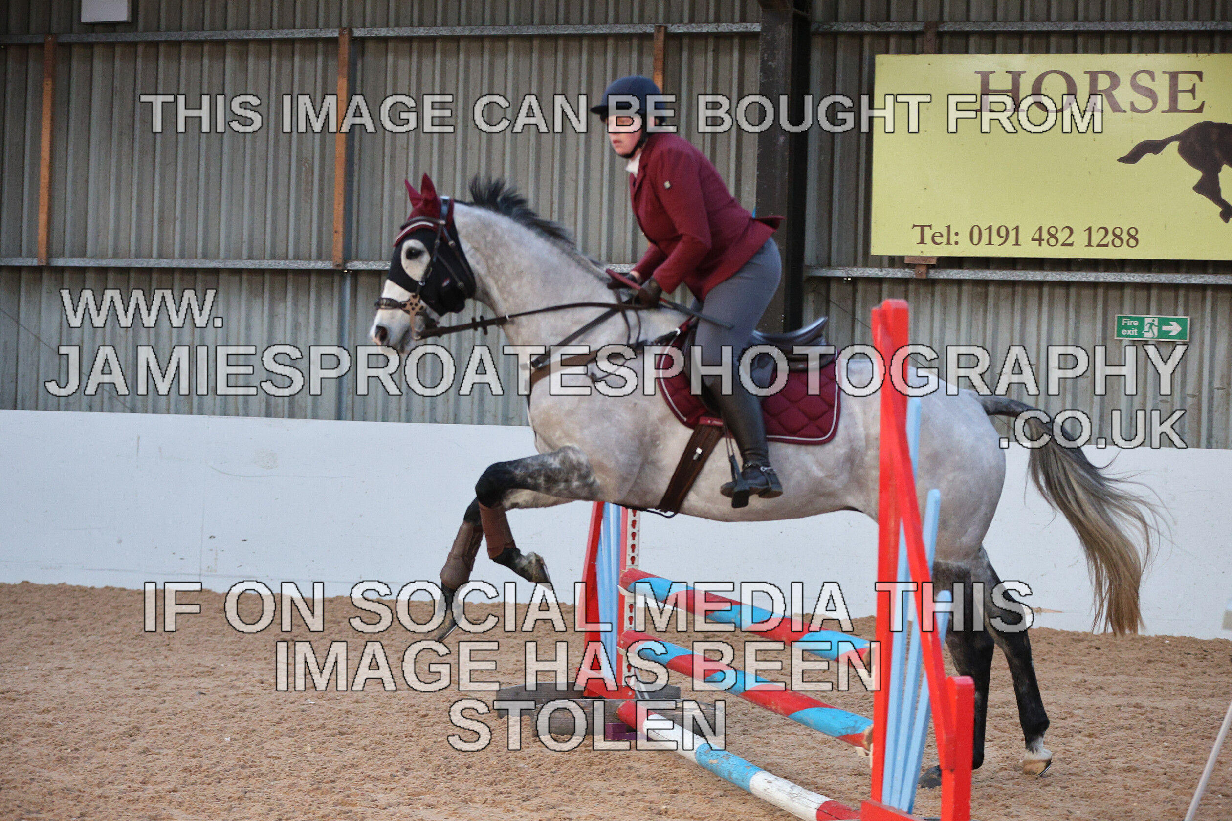 0002 3894 
 Keywords: "jamie sproates photography" showjumping" "holmside"