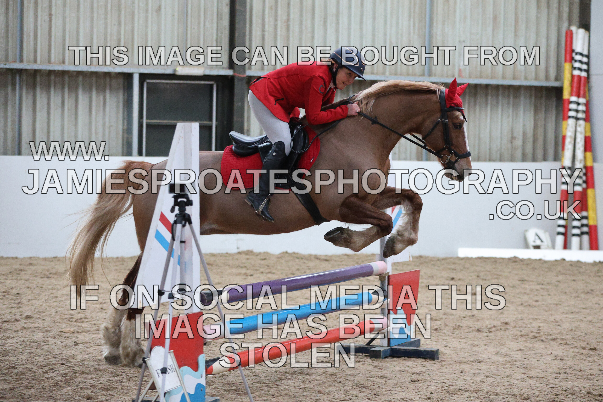 0002 6606 
 Keywords: "jamie sproates photography" showjumping" "holmside""bs"