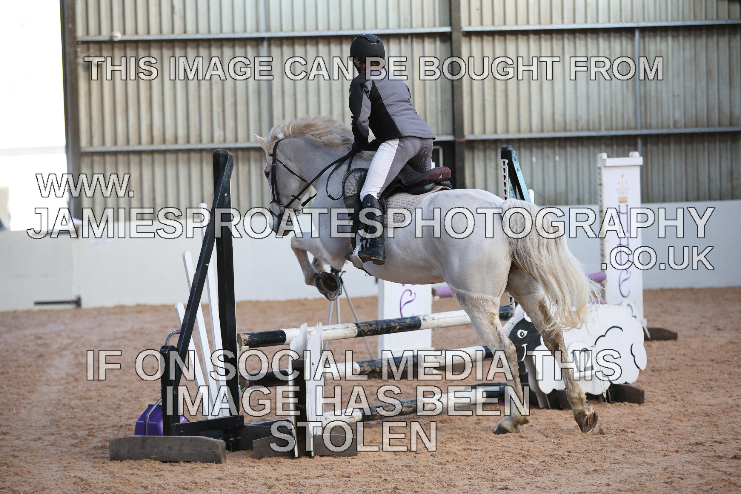 0002 3910 
 Keywords: "jamie sproates photography" showjumping" "holmside"