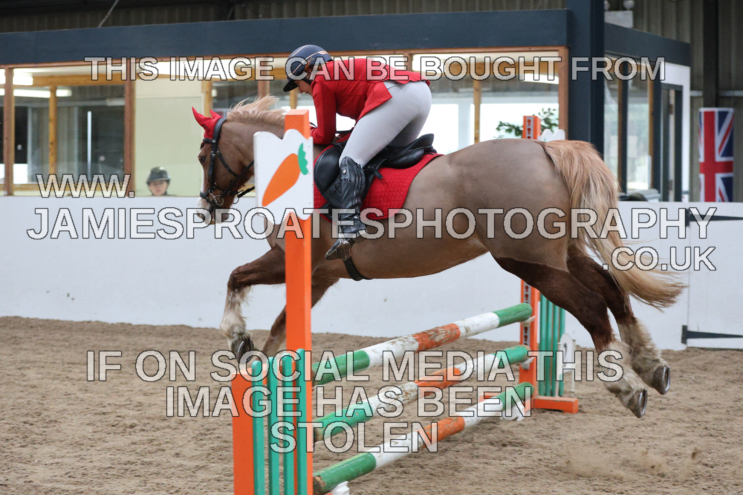 0002 6601 
 Keywords: "jamie sproates photography" showjumping" "holmside""bs"