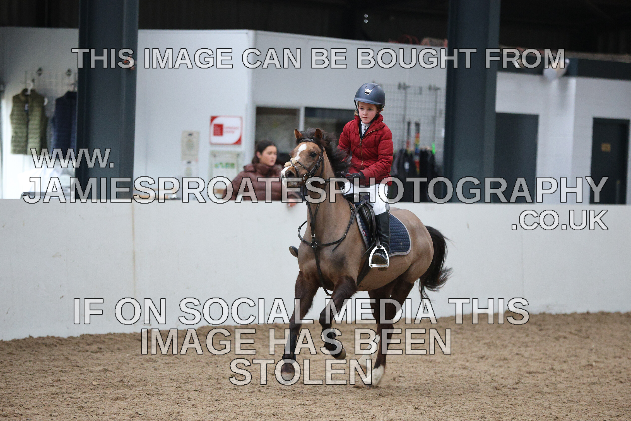 0002 6657 
 Keywords: "jamie sproates photography" showjumping" "holmside""bs"