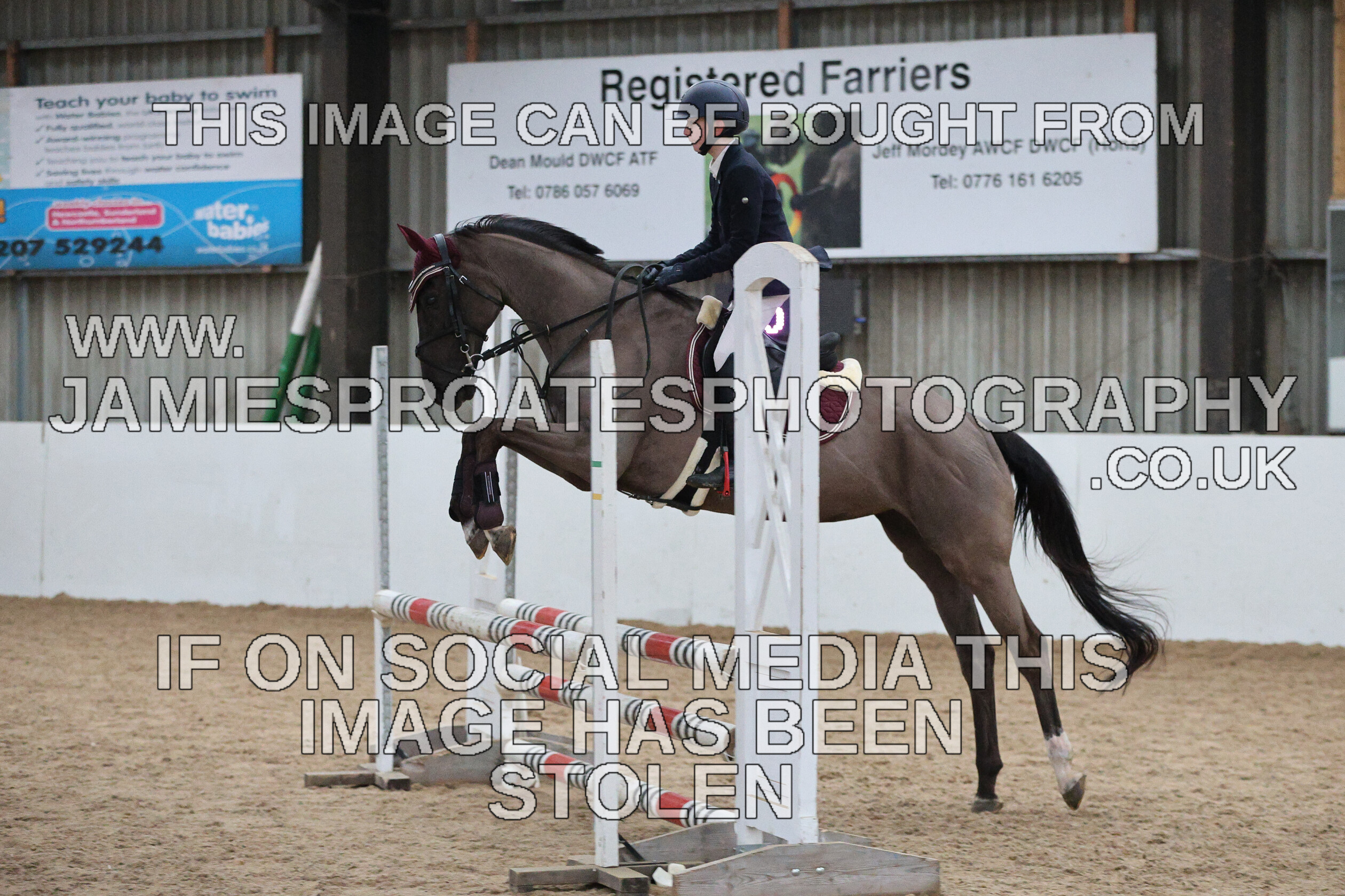 0002 6638 
 Keywords: "jamie sproates photography" showjumping" "holmside""bs"