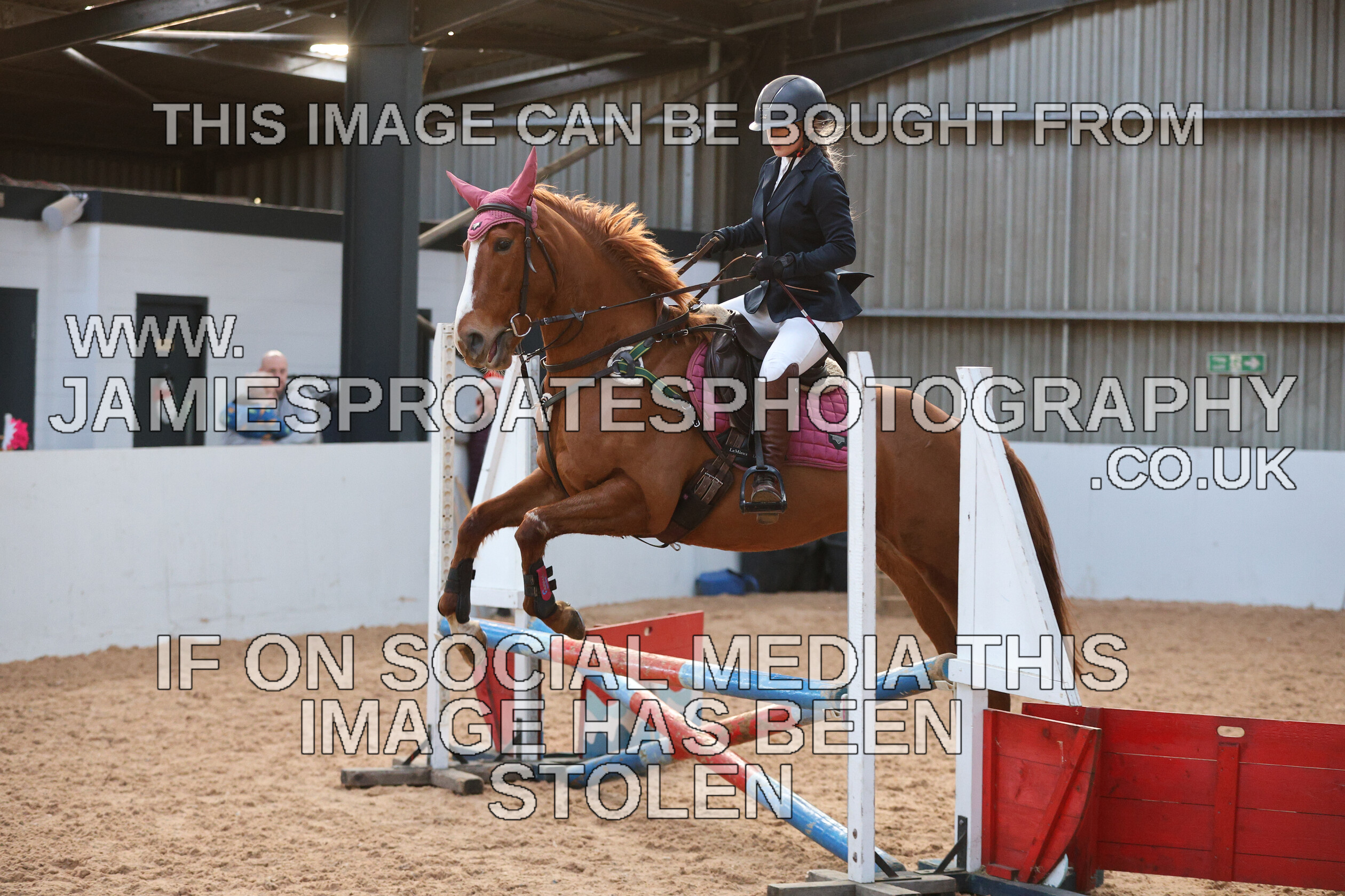 0002 3969 
 Keywords: "jamie sproates photography" showjumping" "holmside"