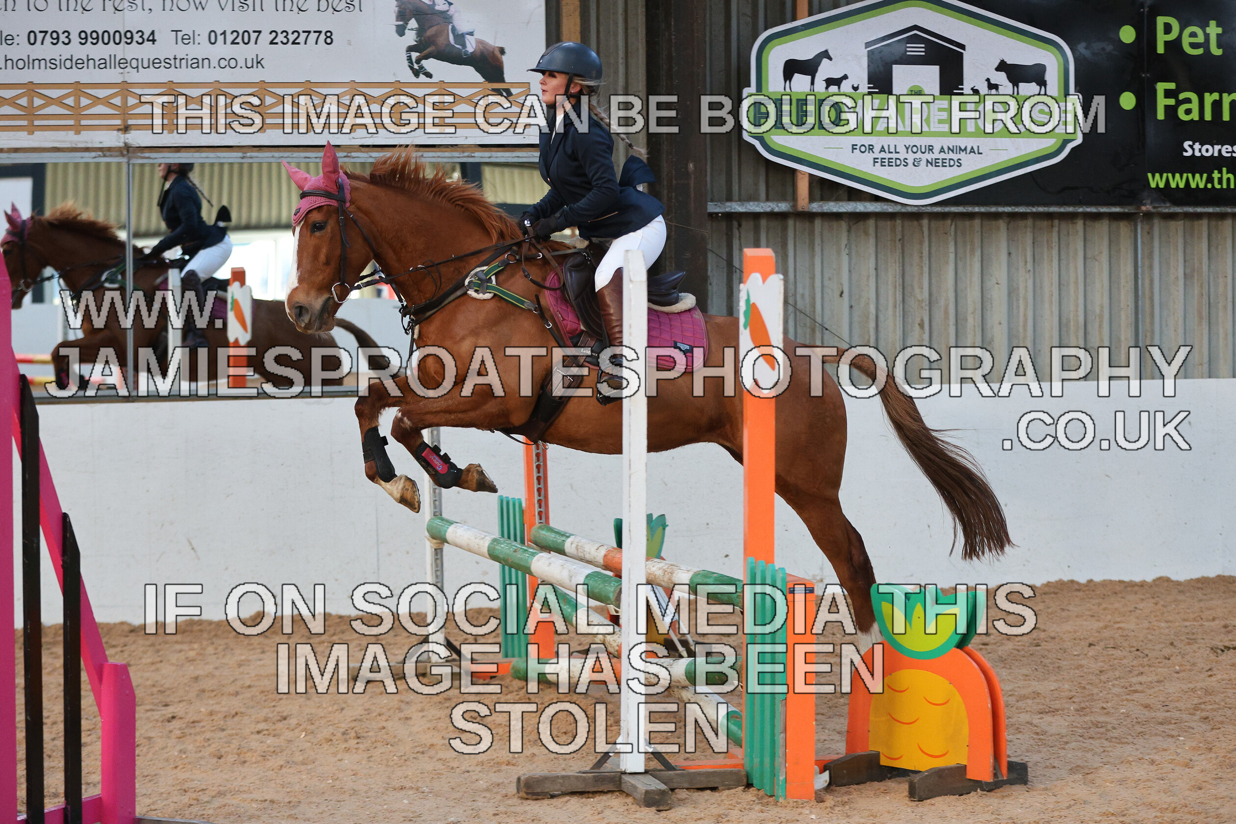 0002 3976 
 Keywords: "jamie sproates photography" showjumping" "holmside"