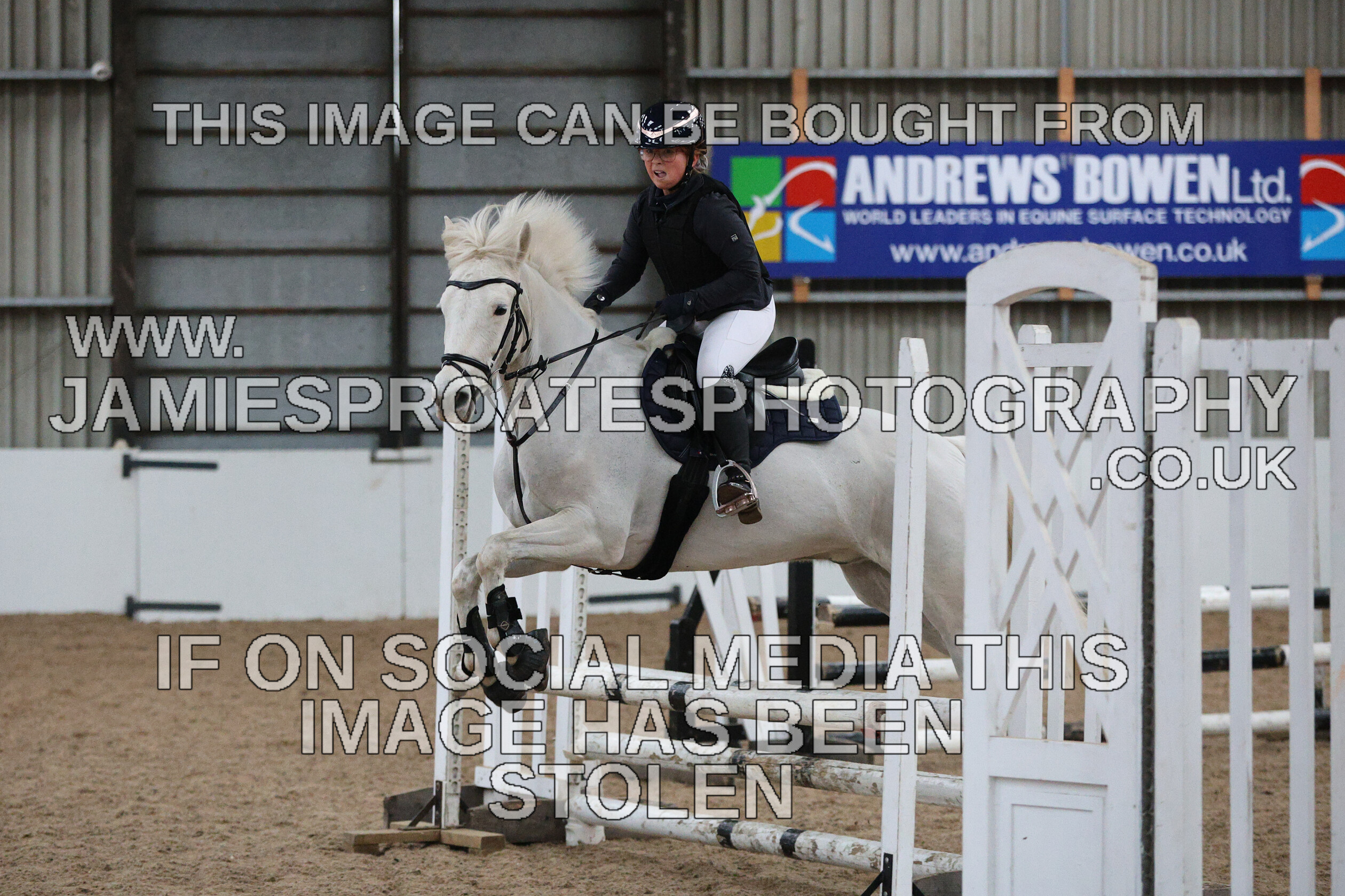 0002 6620 
 Keywords: "jamie sproates photography" showjumping" "holmside""bs"