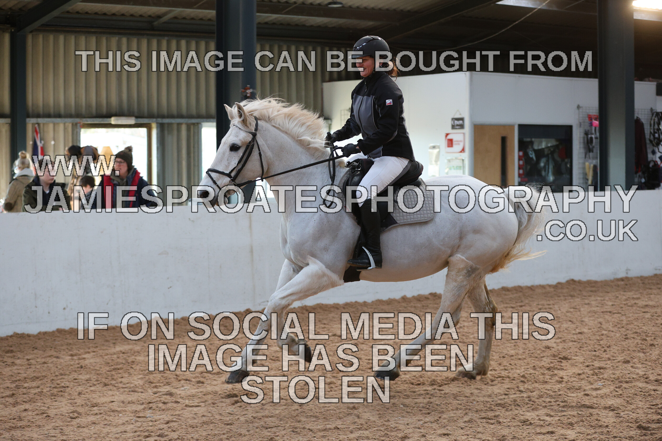 0002 3901 
 Keywords: "jamie sproates photography" showjumping" "holmside"