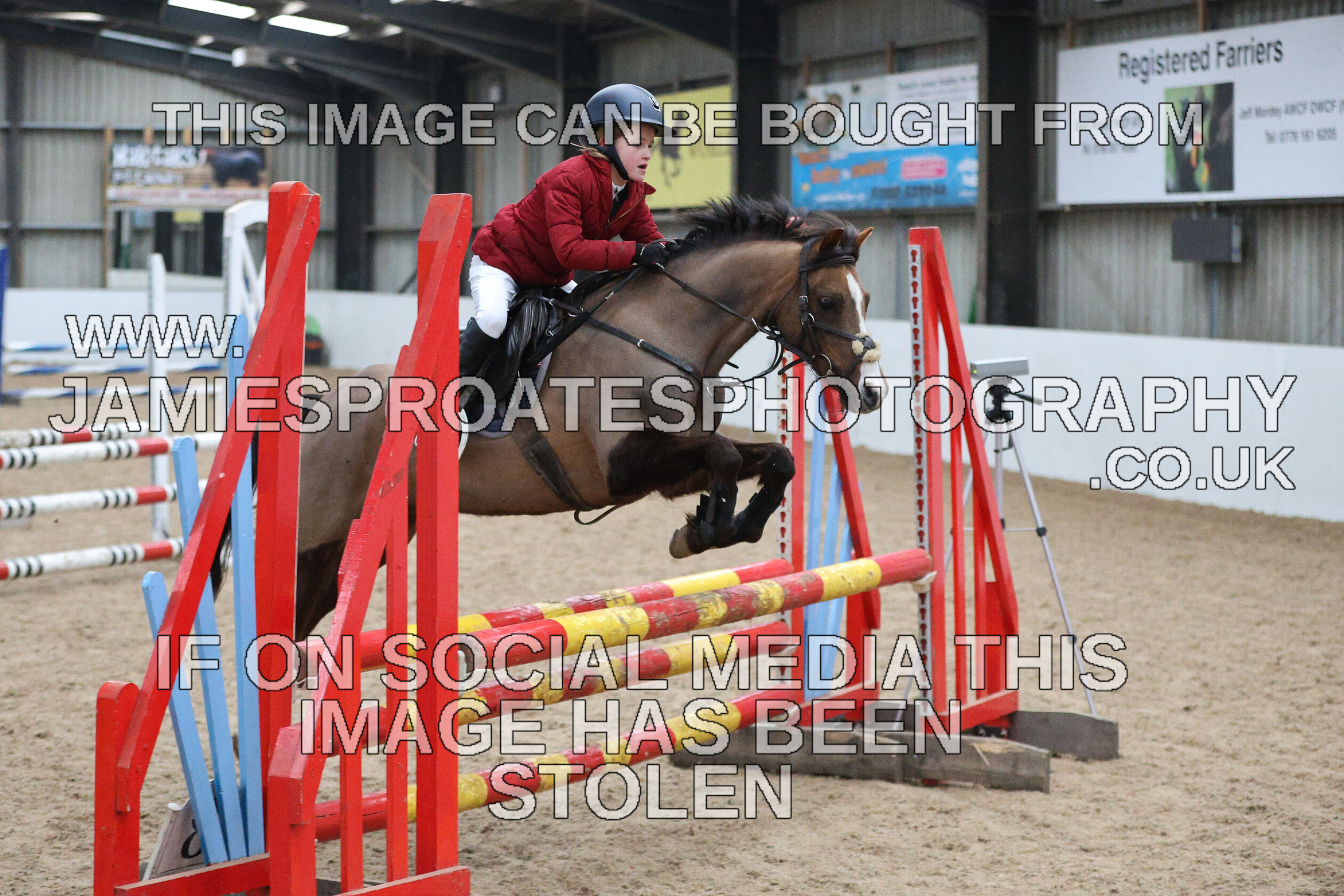 0002 6653 
 Keywords: "jamie sproates photography" showjumping" "holmside""bs"