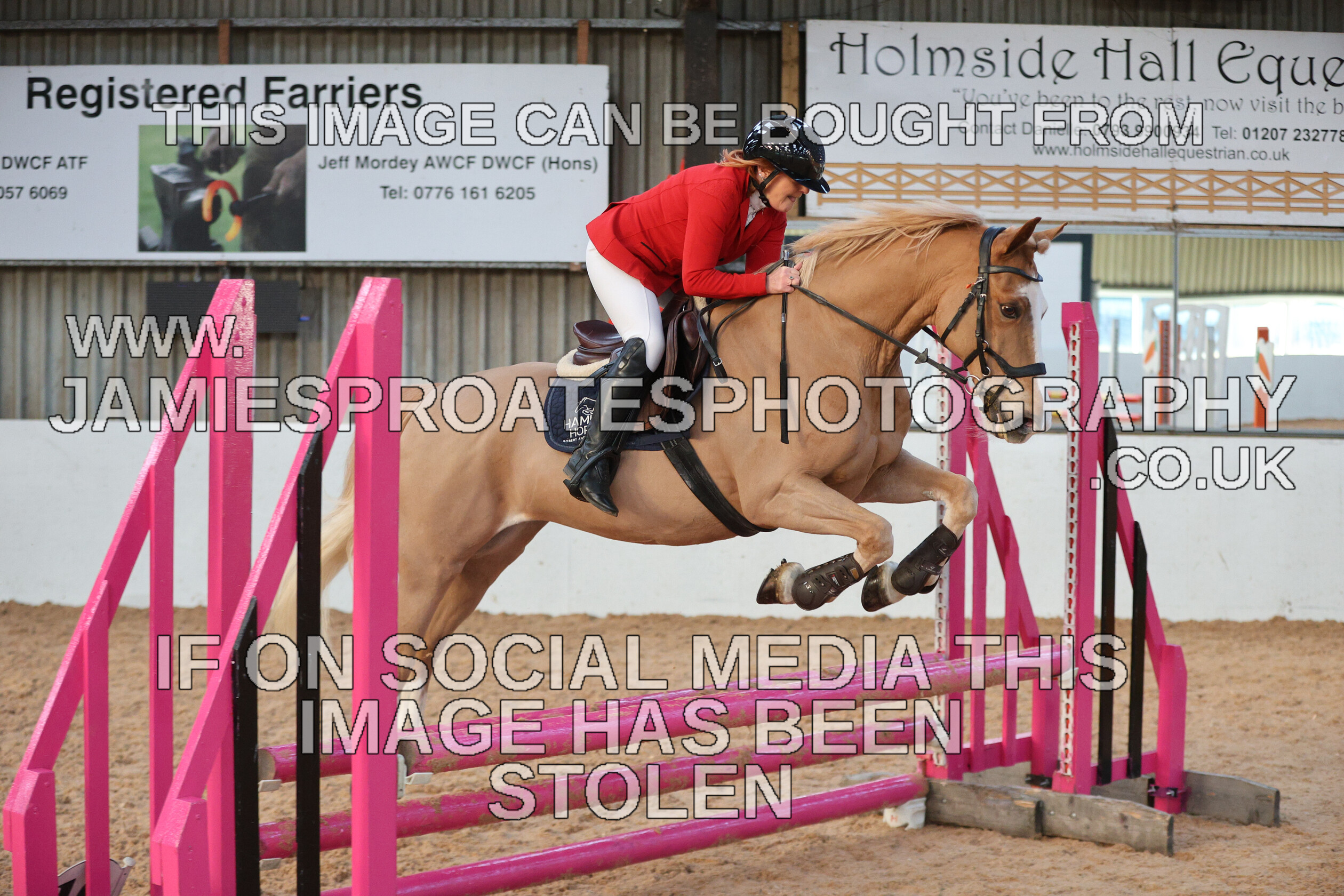 0002 3923 
 Keywords: "jamie sproates photography" showjumping" "holmside"