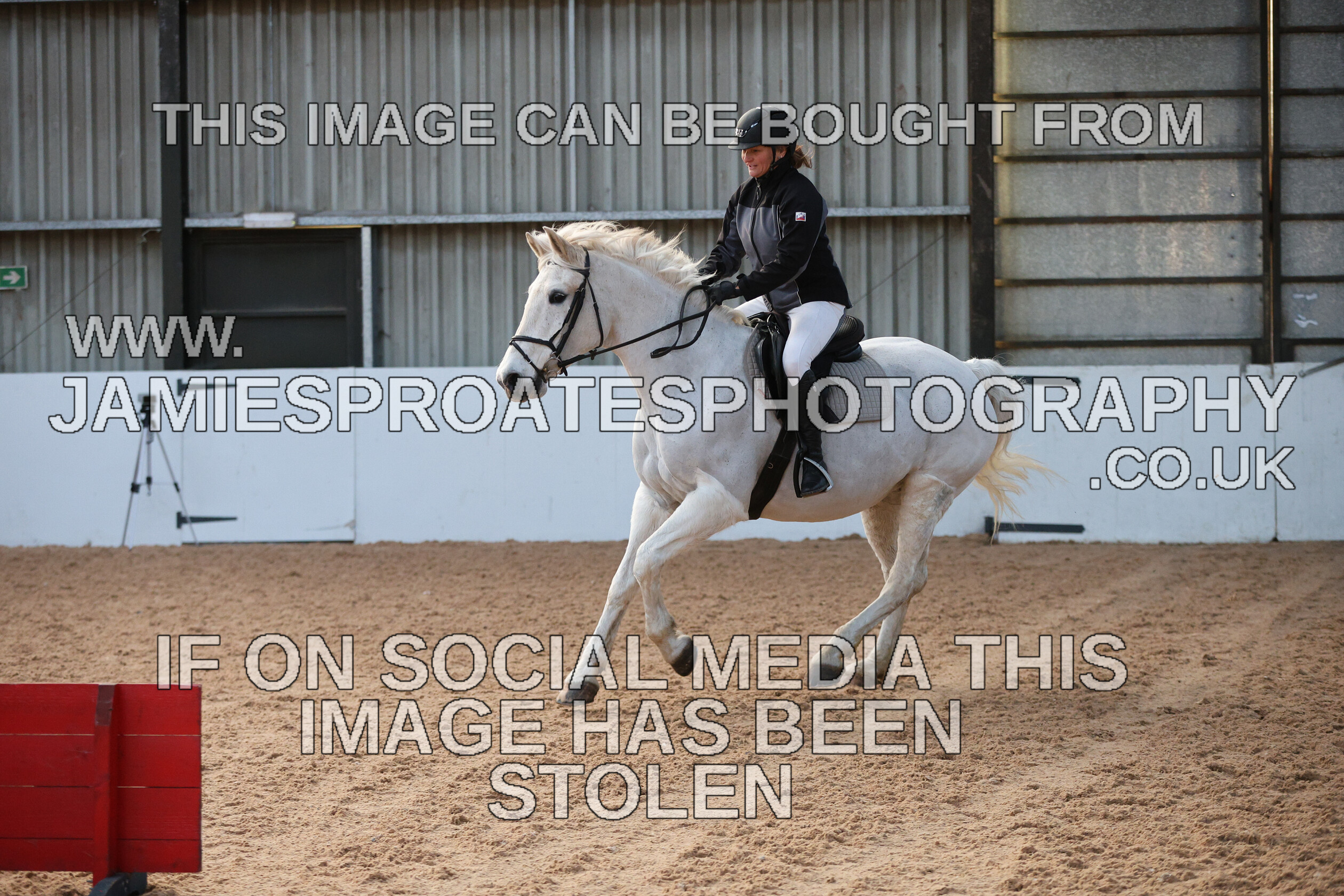 0002 3899 
 Keywords: "jamie sproates photography" showjumping" "holmside"