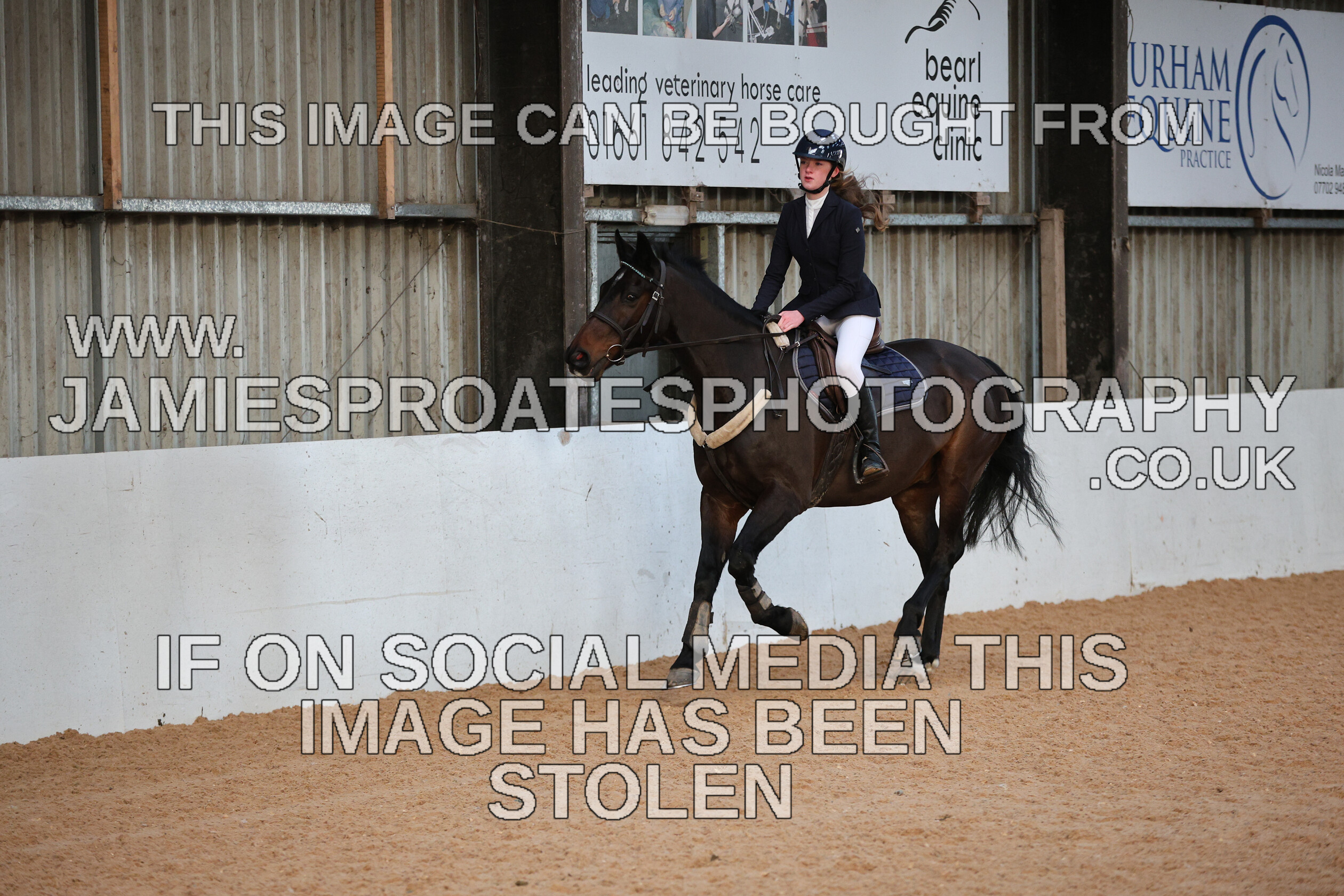 0002 3926 
 Keywords: "jamie sproates photography" showjumping" "holmside"