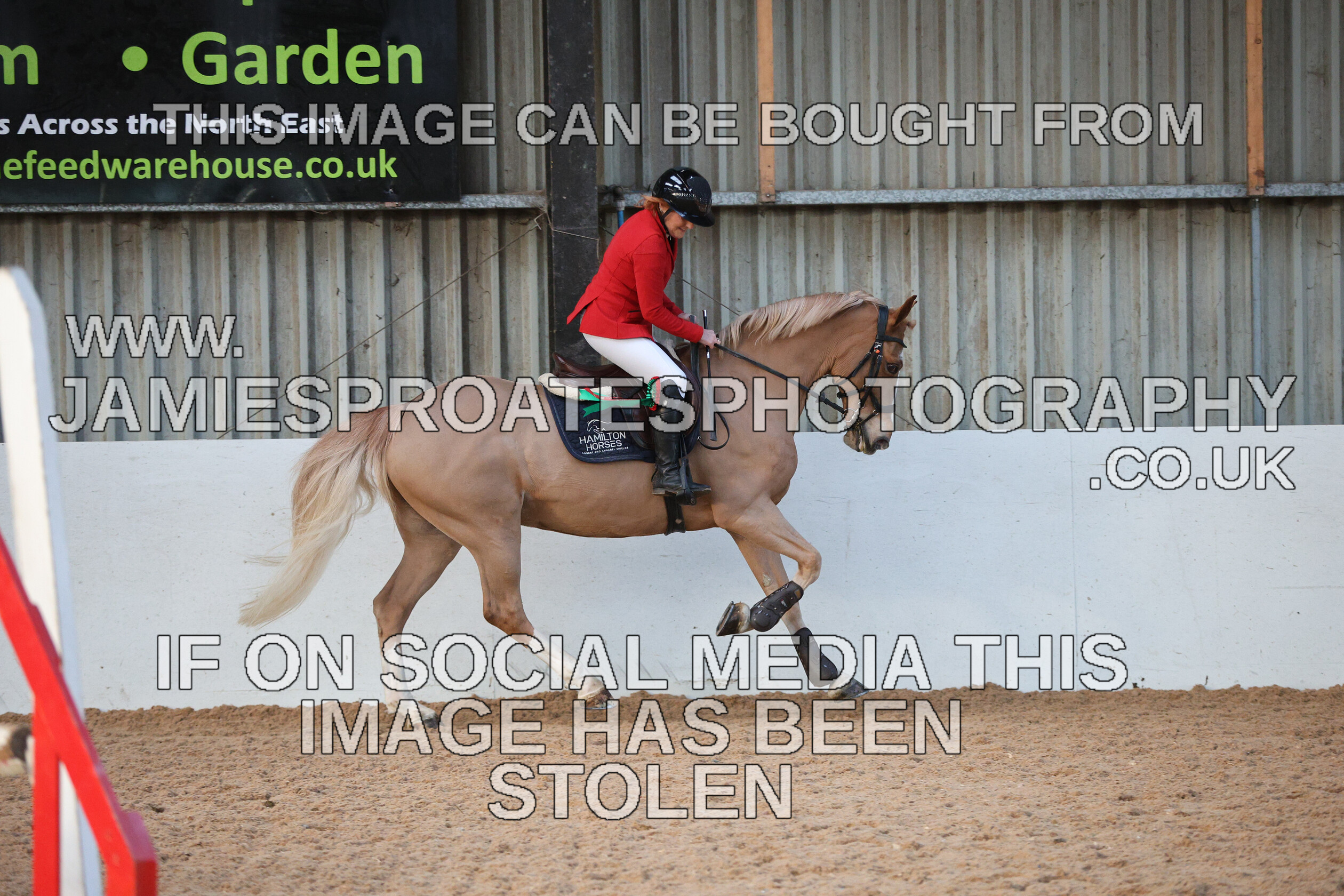 0002 3988 
 Keywords: "jamie sproates photography" showjumping" "holmside"