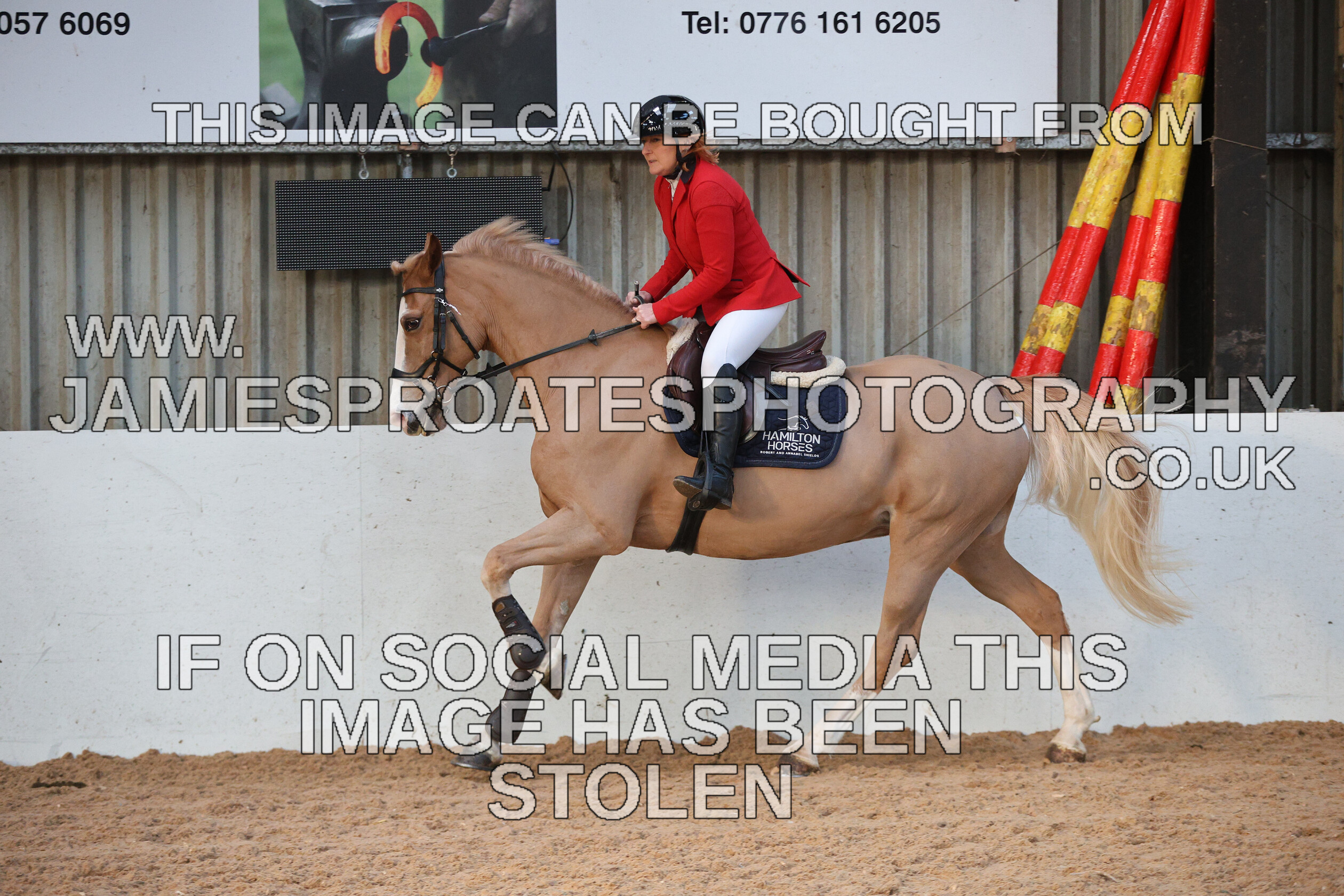 0002 3911 
 Keywords: "jamie sproates photography" showjumping" "holmside"