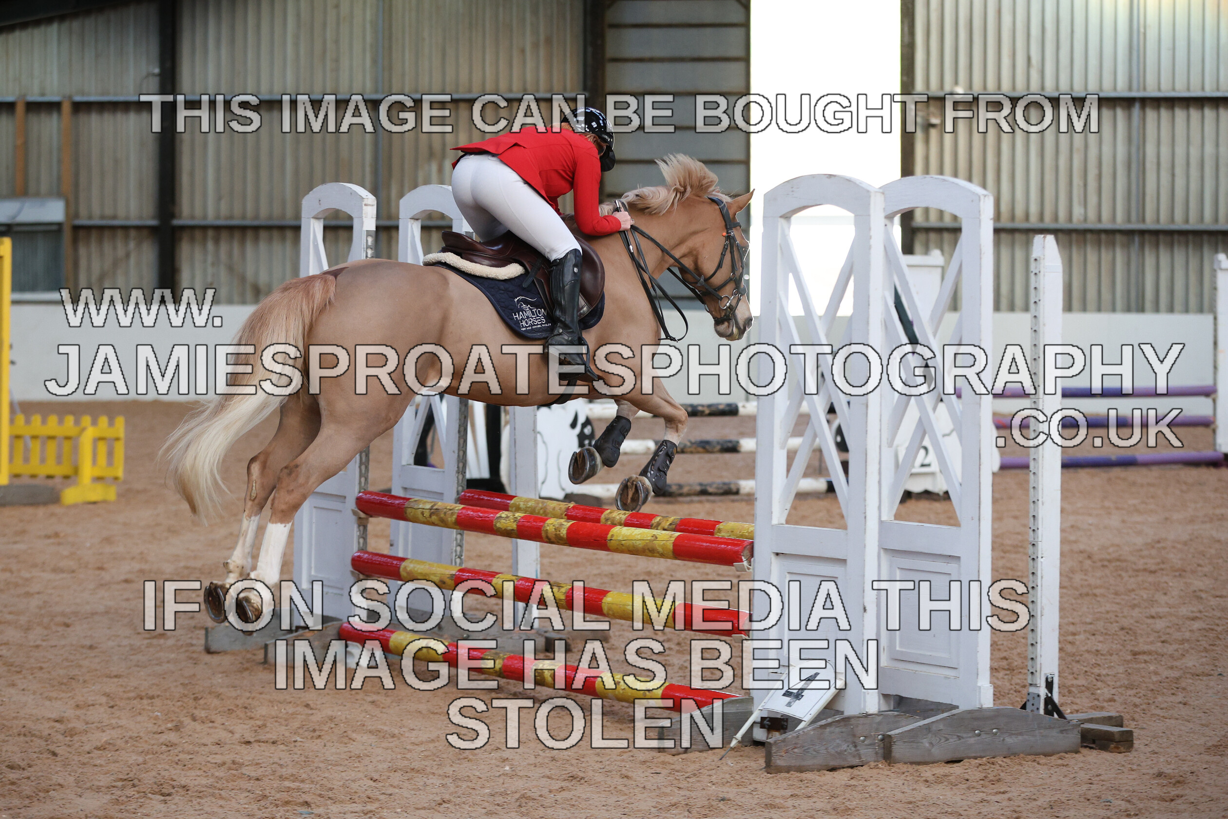 0002 3917 
 Keywords: "jamie sproates photography" showjumping" "holmside"