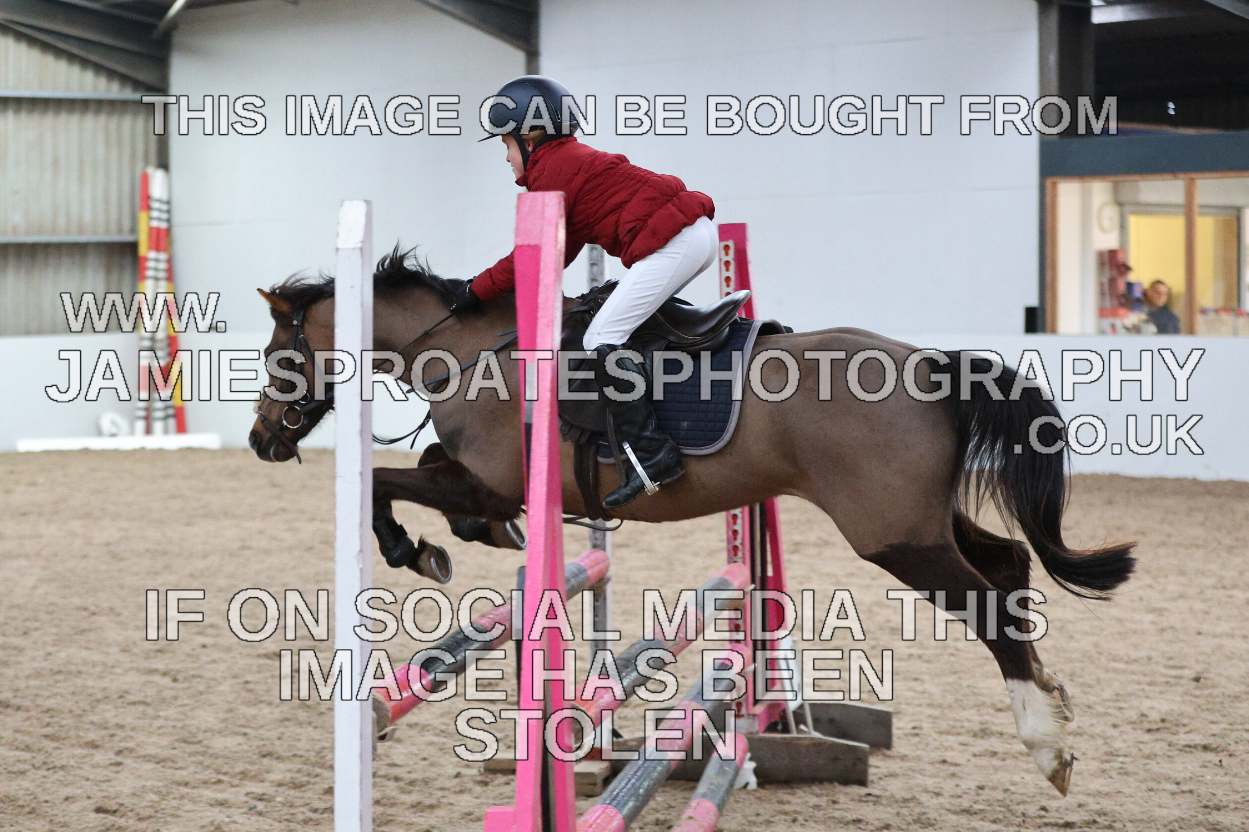 0002 6658 
 Keywords: "jamie sproates photography" showjumping" "holmside""bs"