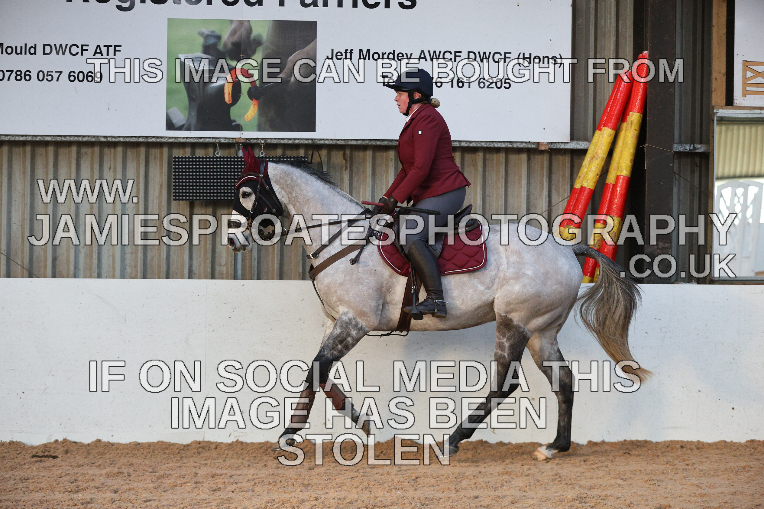 0002 3889 
 Keywords: "jamie sproates photography" showjumping" "holmside"