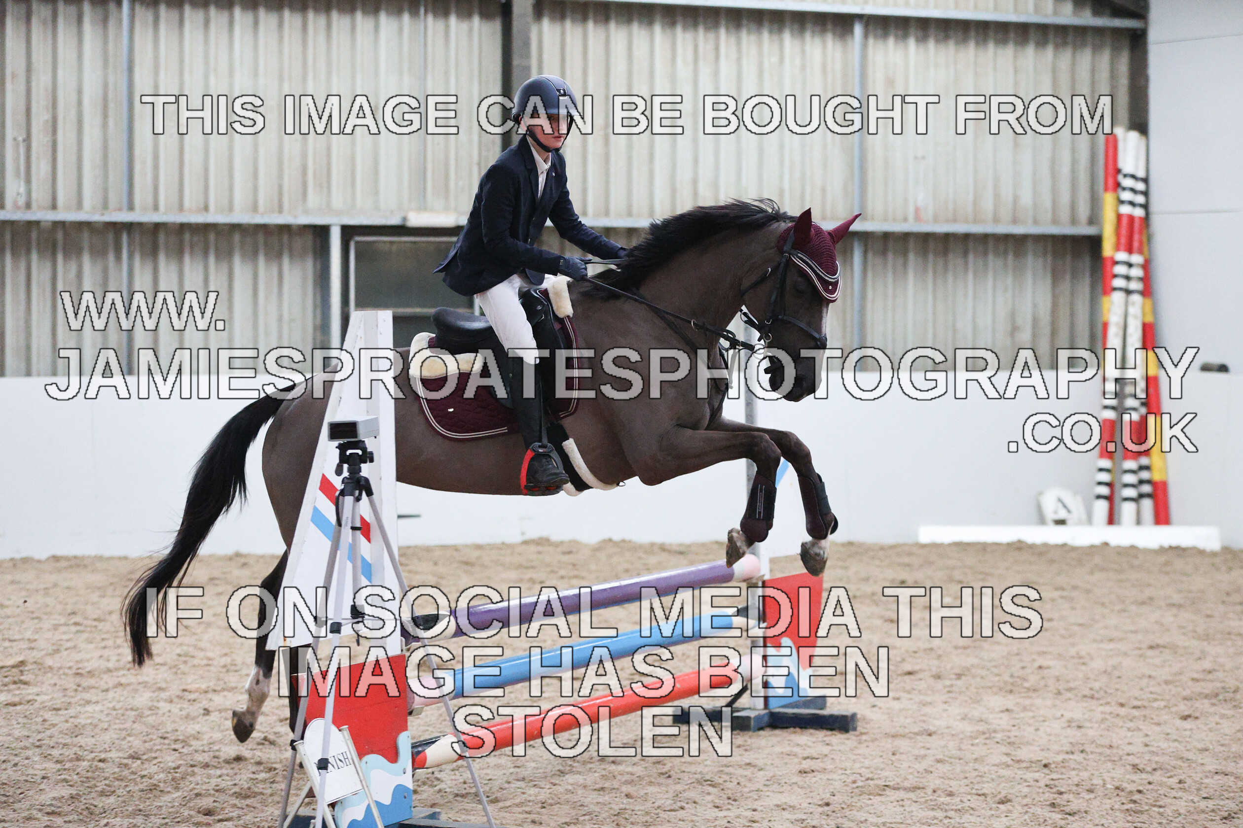 0002 6642 
 Keywords: "jamie sproates photography" showjumping" "holmside""bs"