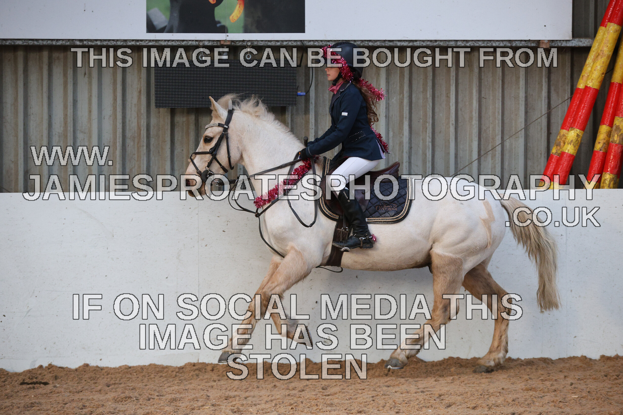 0002 3943 
 Keywords: "jamie sproates photography" showjumping" "holmside"