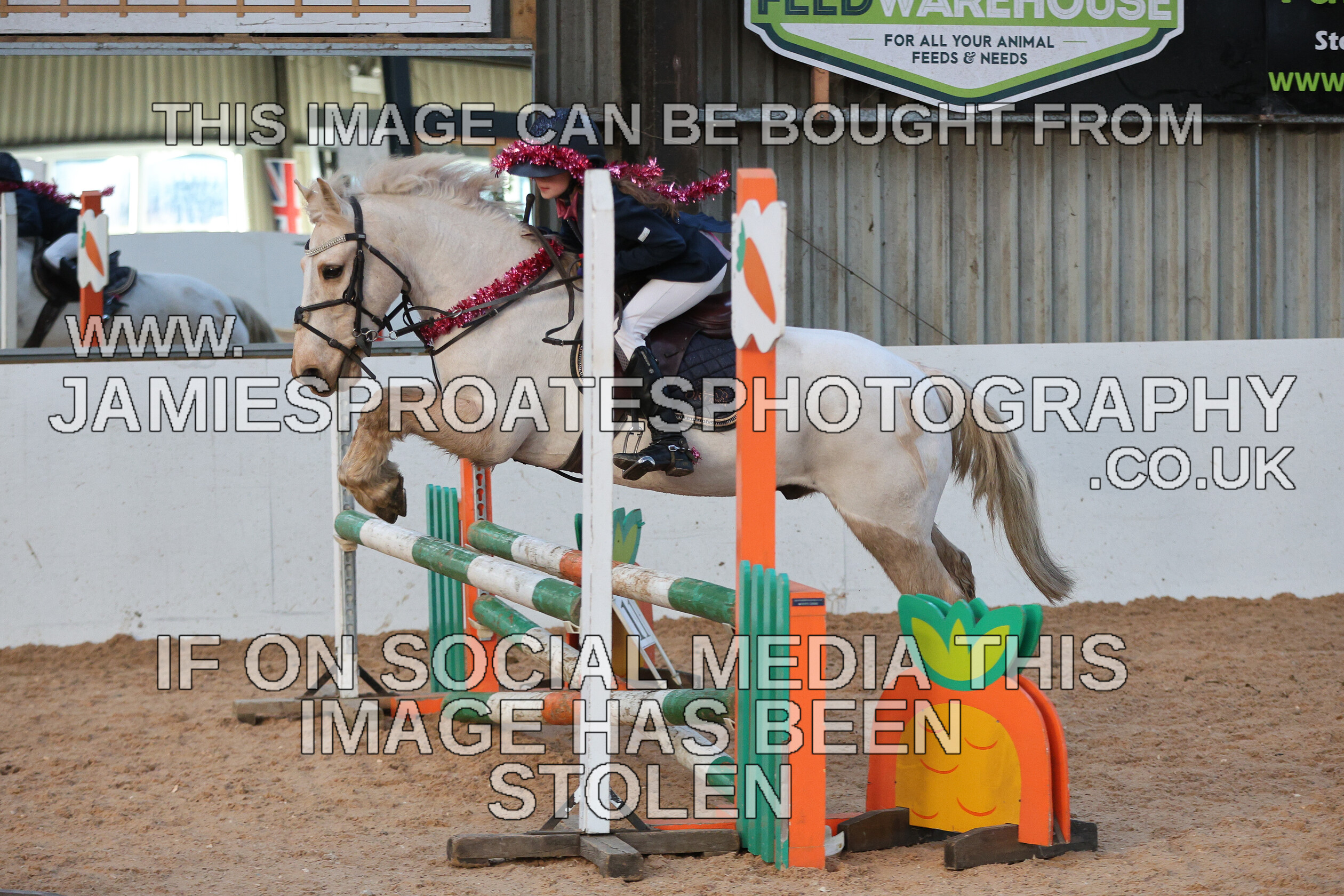 0002 3955 
 Keywords: "jamie sproates photography" showjumping" "holmside"