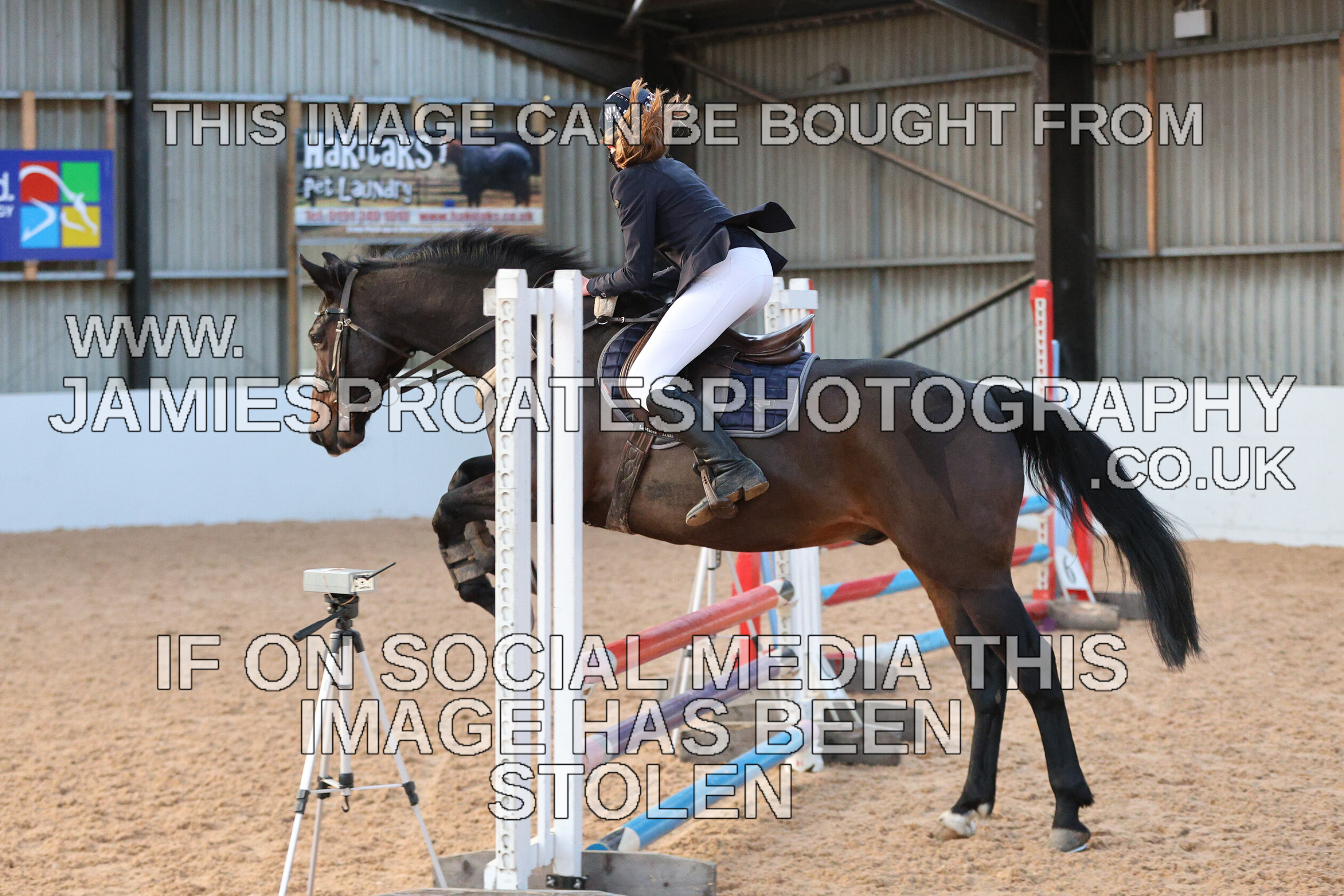 0002 3938 
 Keywords: "jamie sproates photography" showjumping" "holmside"