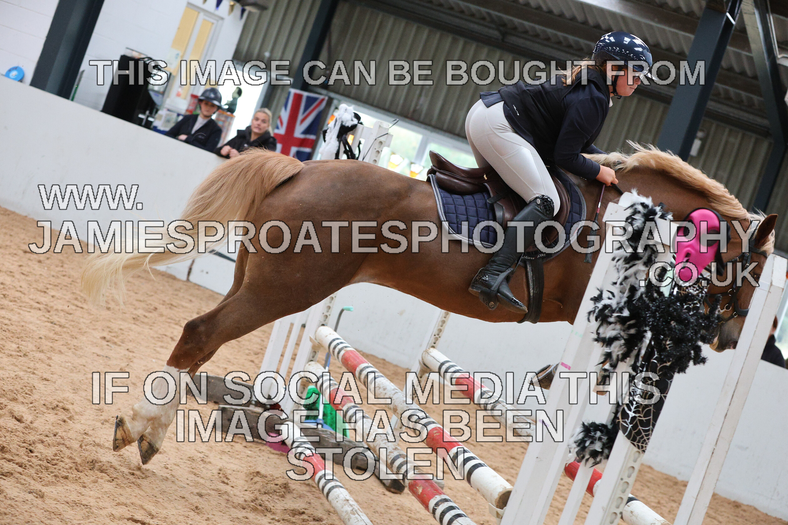 0005 0205 
 Keywords: "jamie sproates photography" showjumping" "holmside"