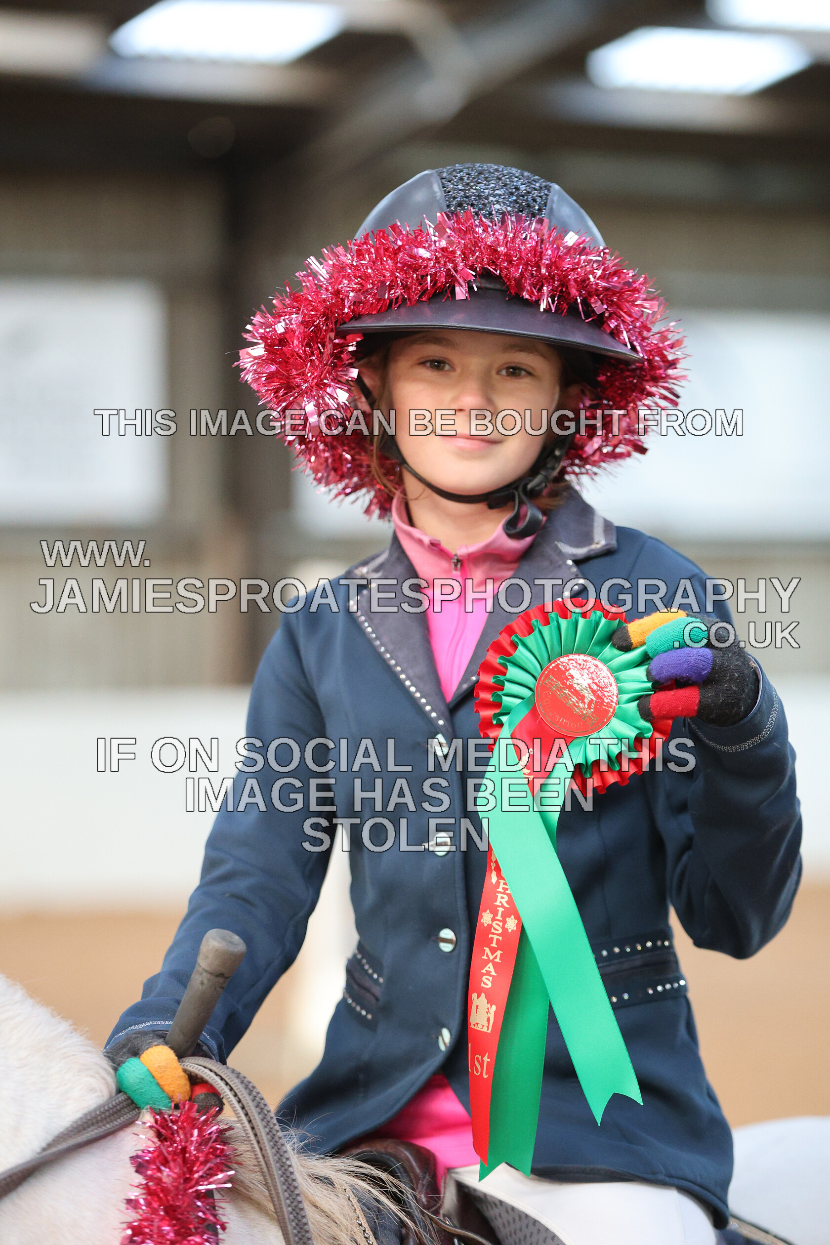 0002 3982 
 Keywords: "jamie sproates photography" showjumping" "holmside"