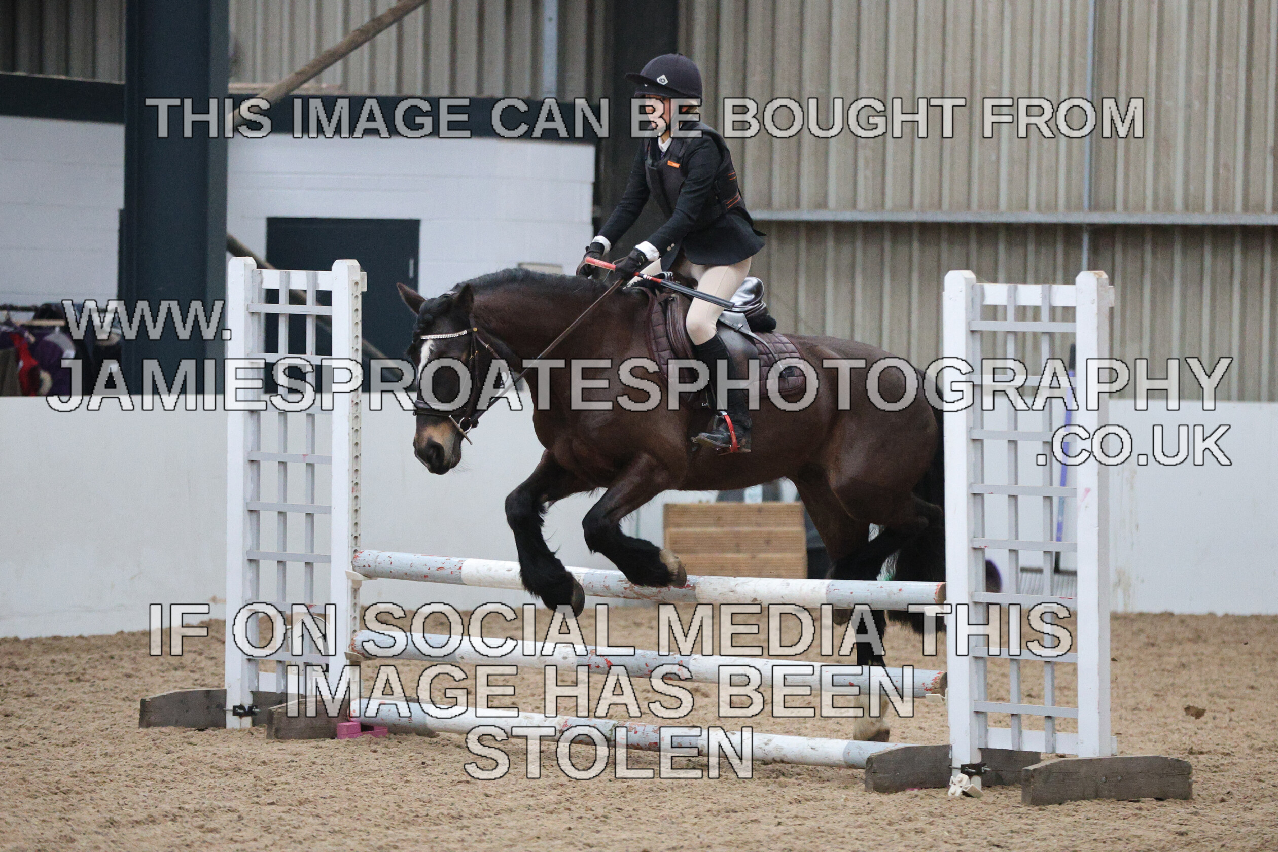 0002 6668 
 Keywords: "jamie sproates photography" showjumping" "holmside""bs"