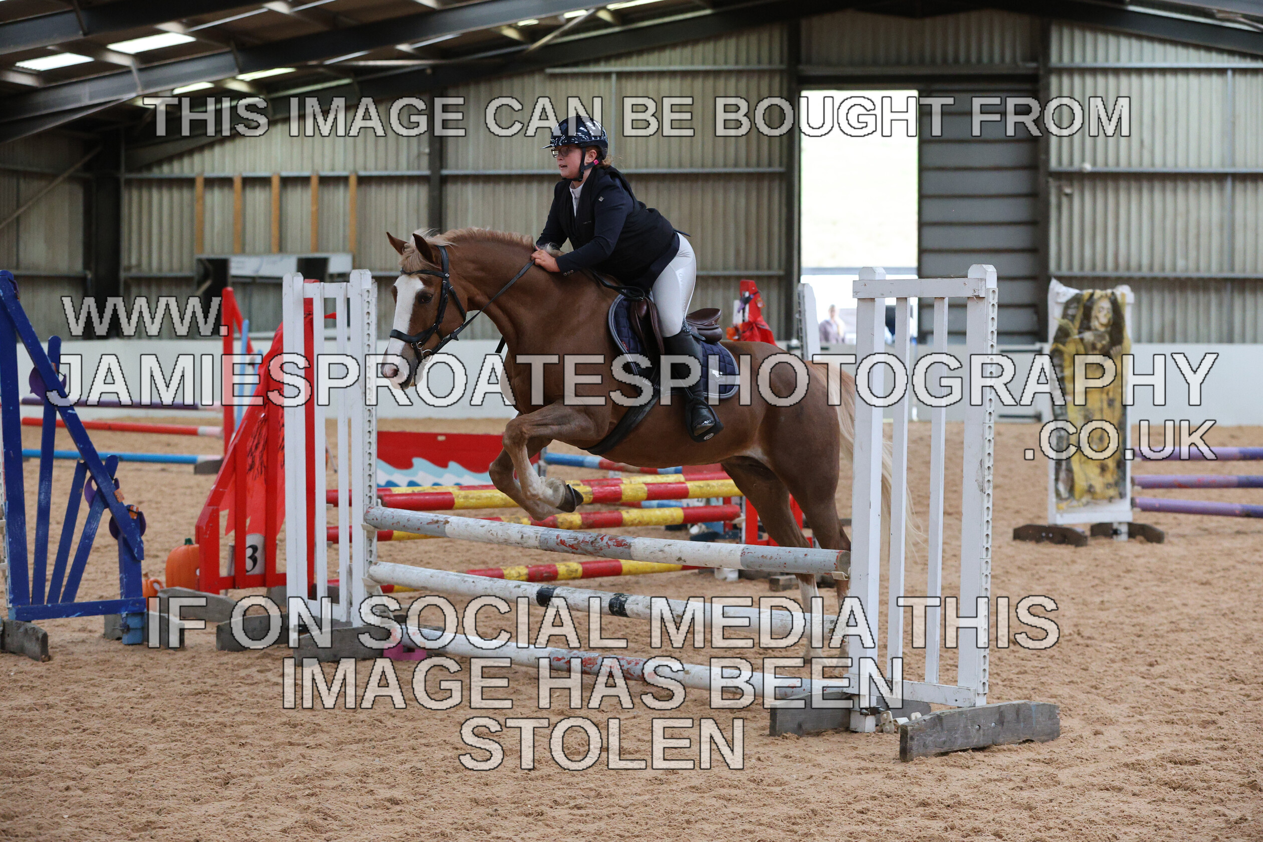 0005 0199 
 Keywords: "jamie sproates photography" showjumping" "holmside"