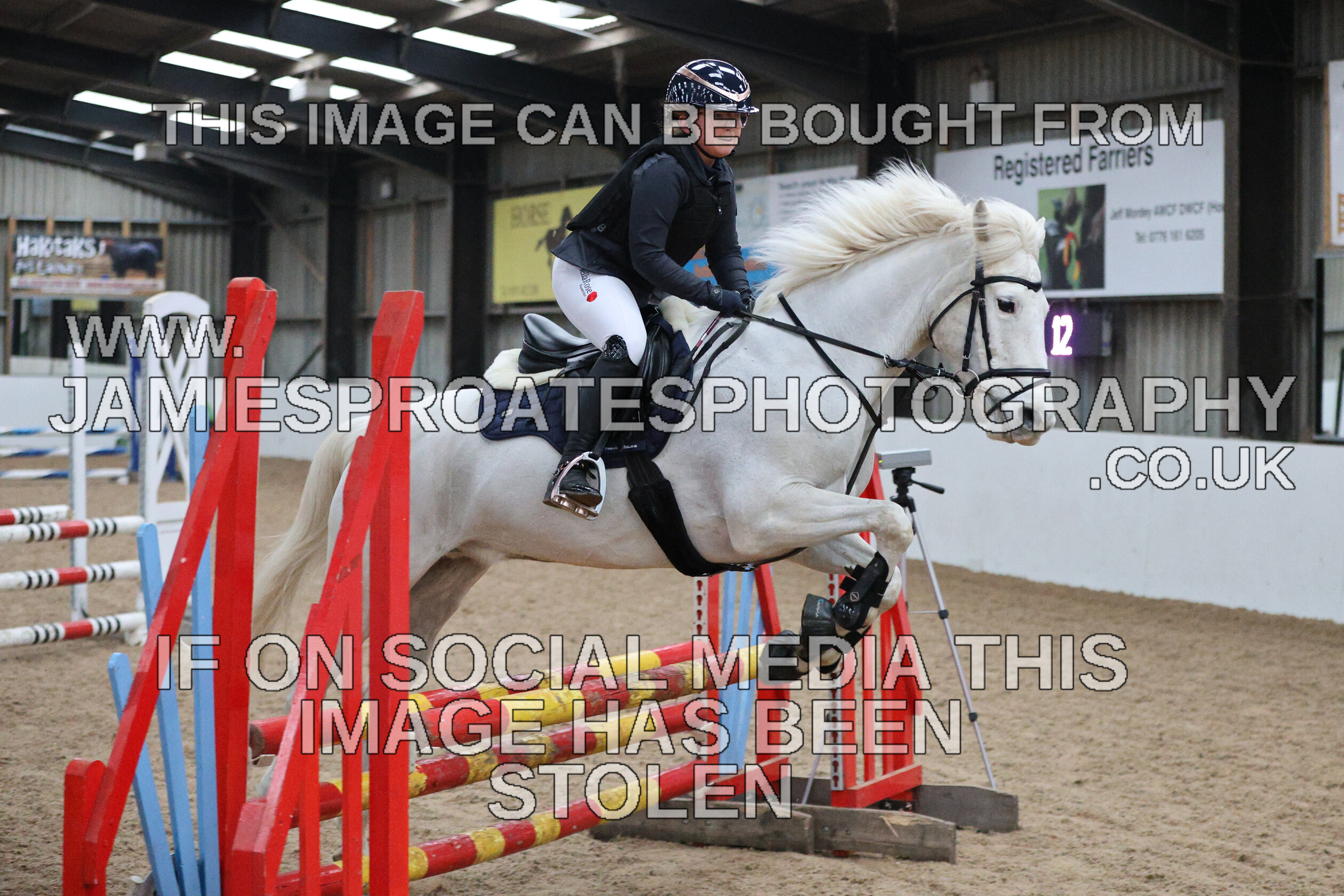 0002 6625 
 Keywords: "jamie sproates photography" showjumping" "holmside""bs"