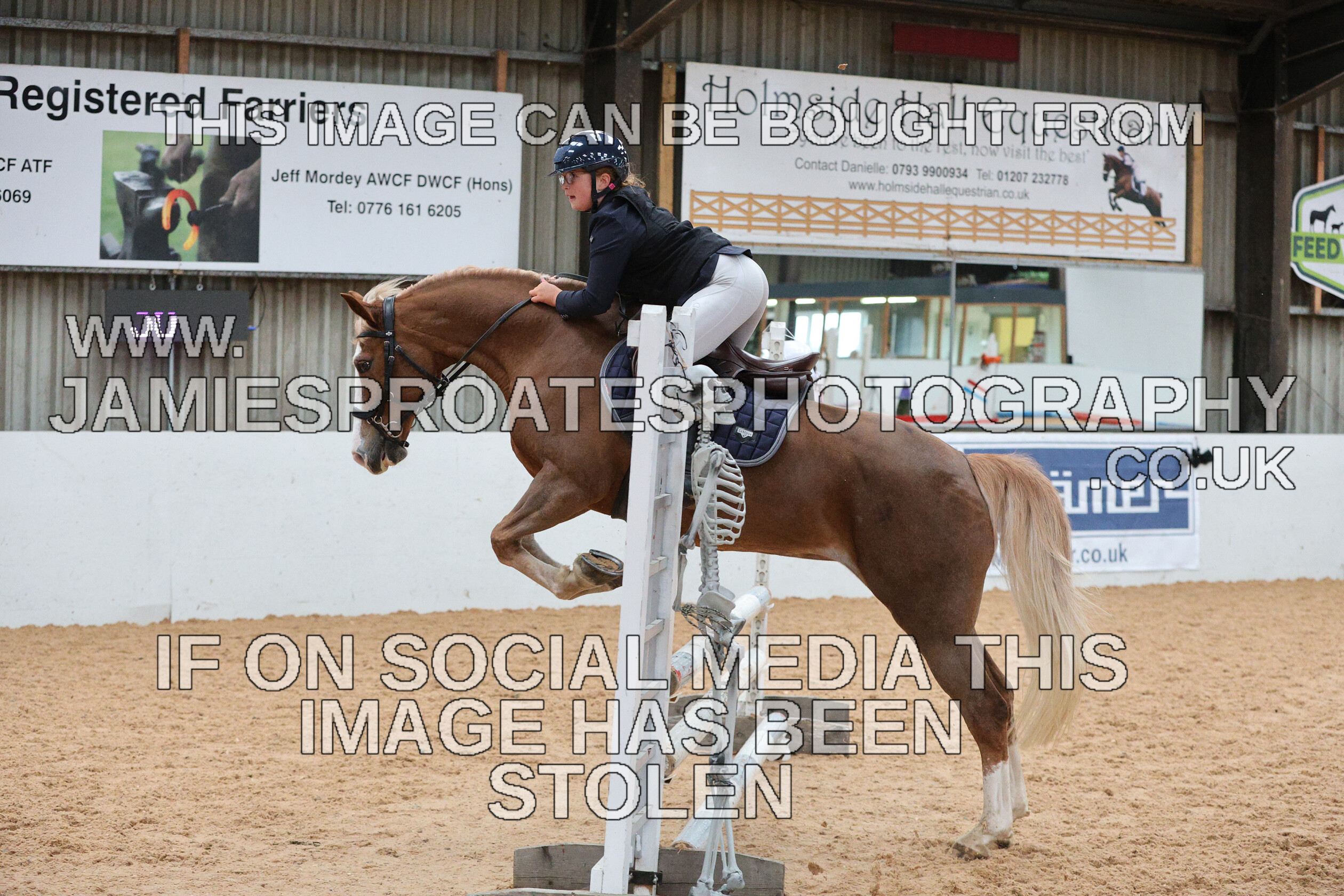 0005 0201 
 Keywords: "jamie sproates photography" showjumping" "holmside"