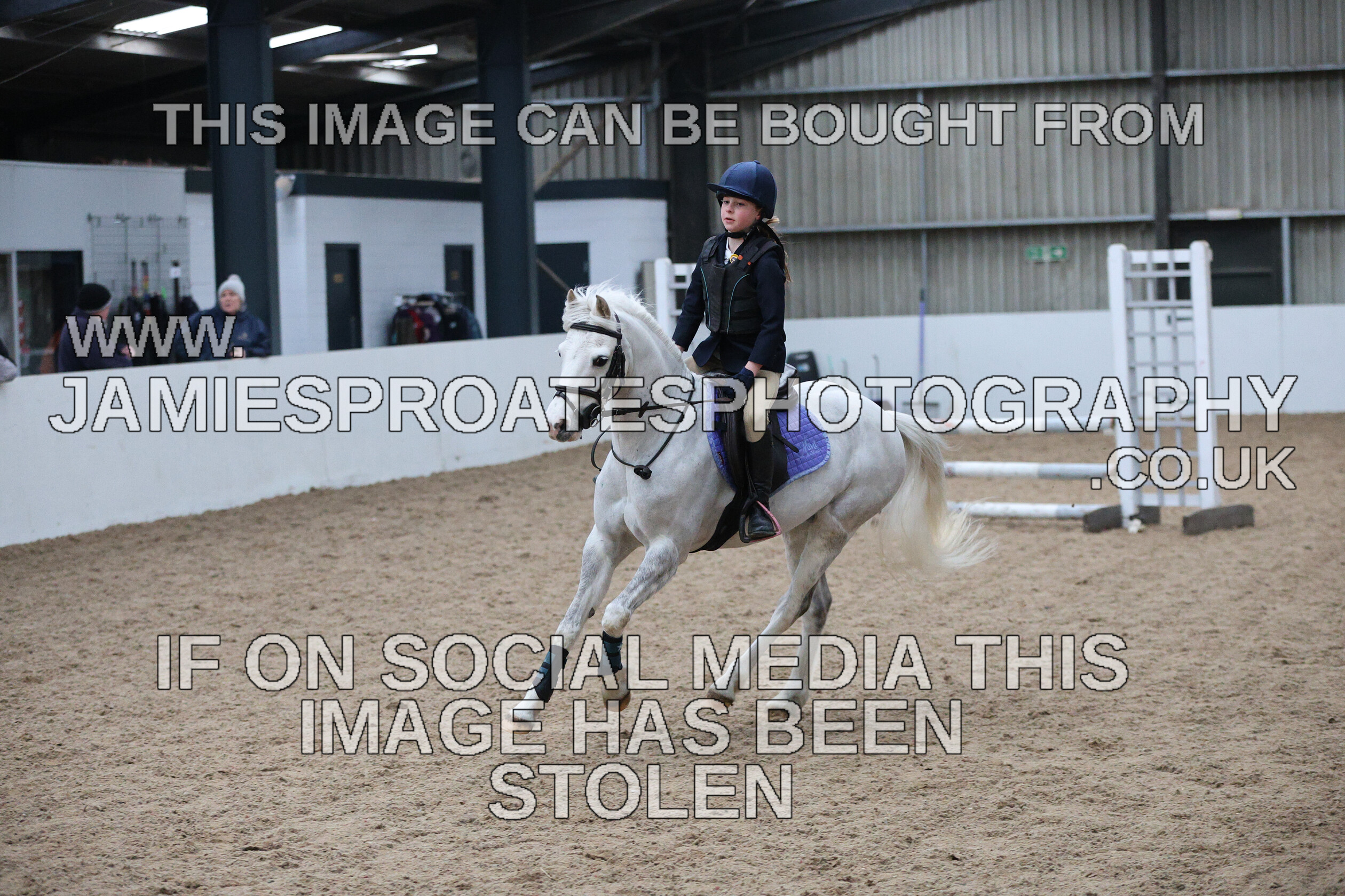 0002 6611 
 Keywords: "jamie sproates photography" showjumping" "holmside""bs"