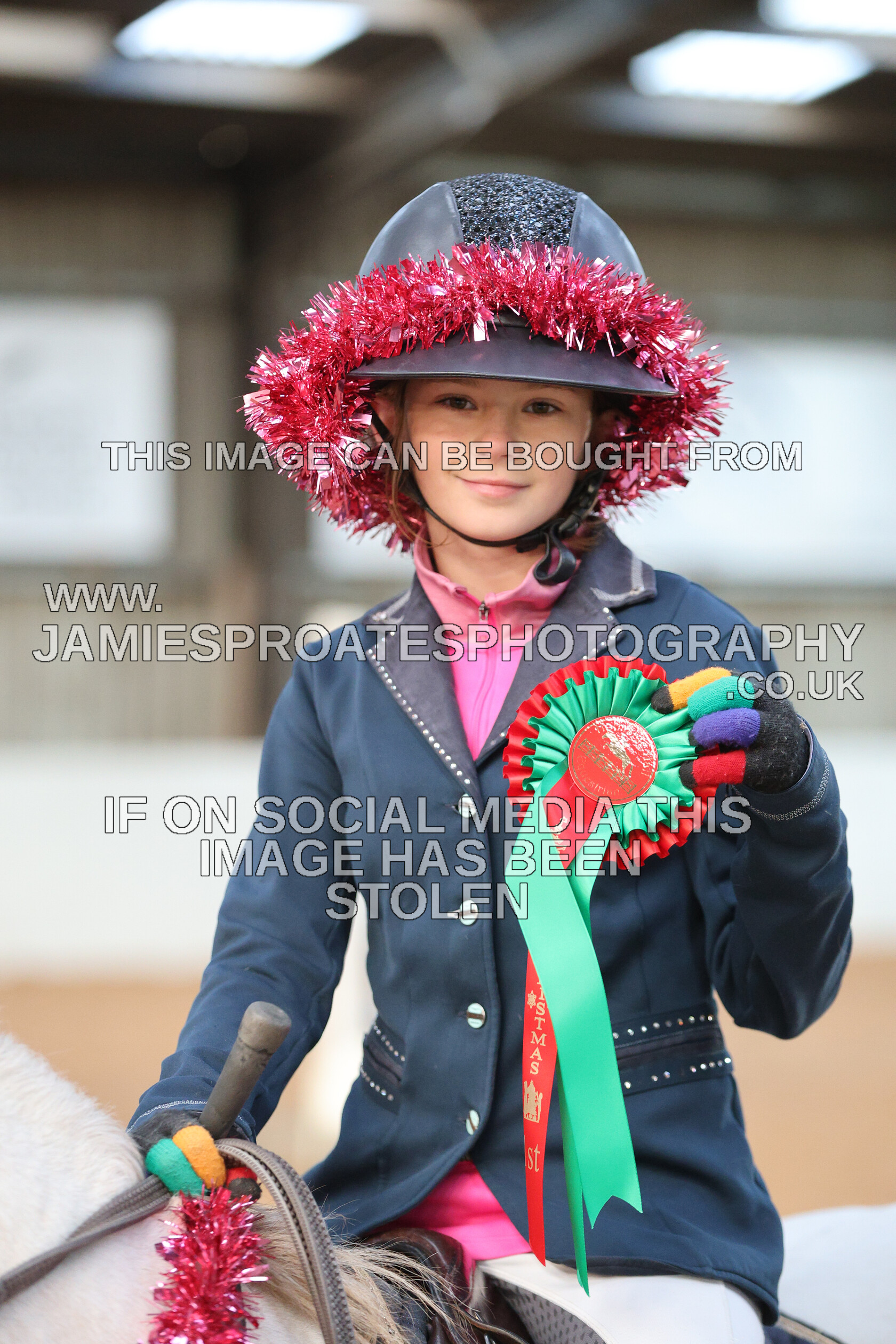 0002 3980 
 Keywords: "jamie sproates photography" showjumping" "holmside"