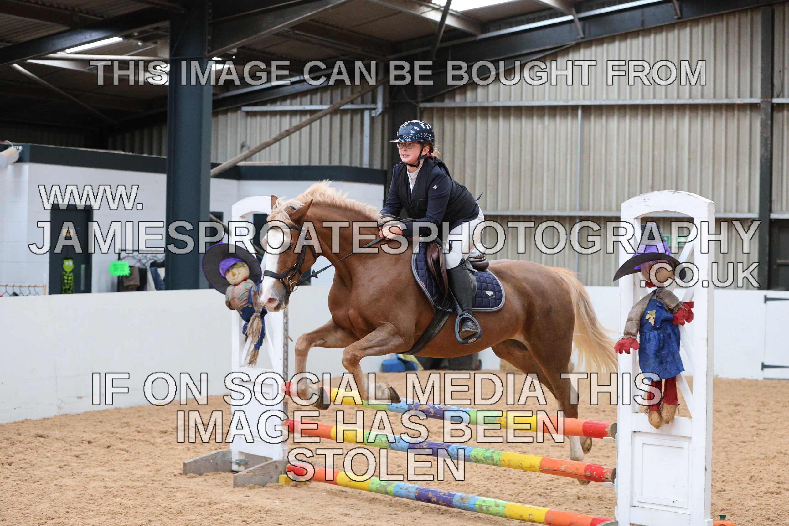 0005 0202 
 Keywords: "jamie sproates photography" showjumping" "holmside"