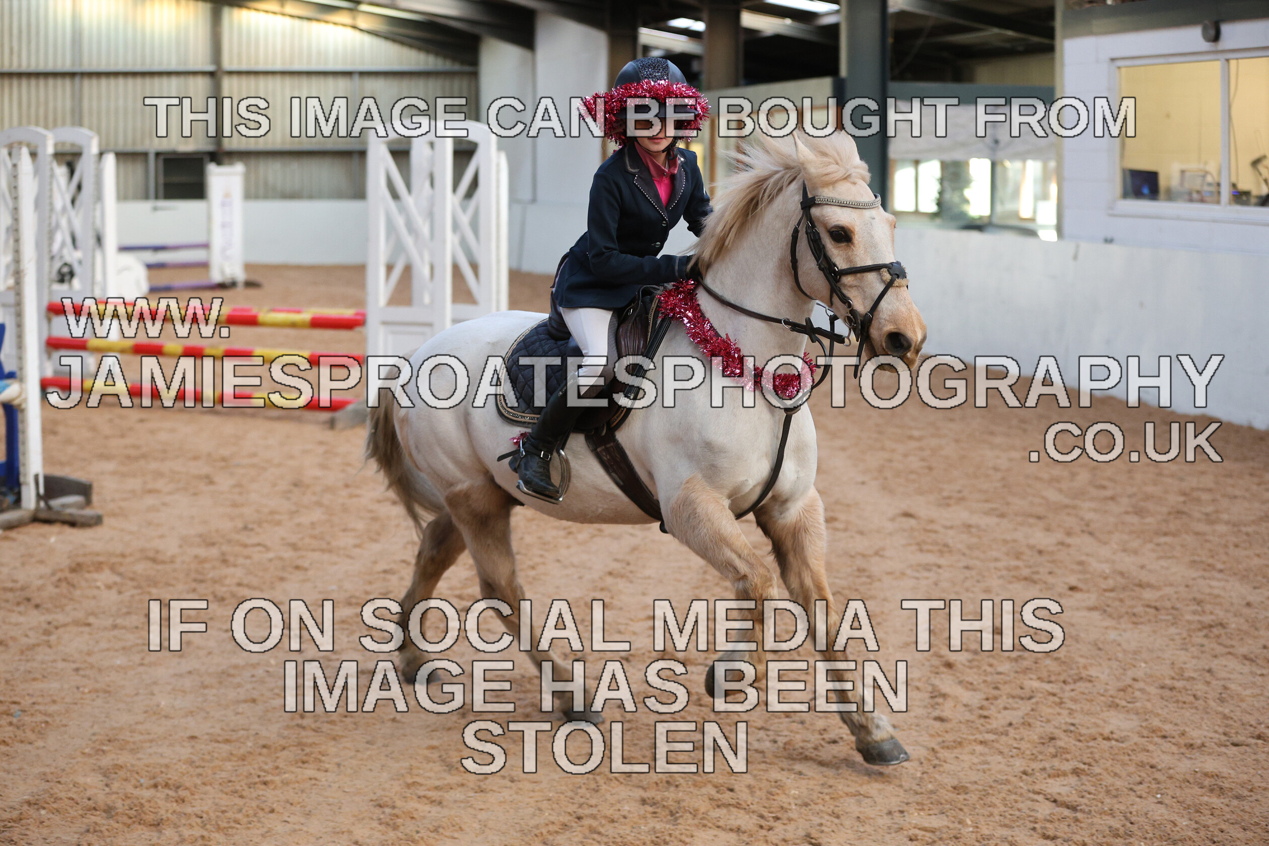 0002 3947 
 Keywords: "jamie sproates photography" showjumping" "holmside"